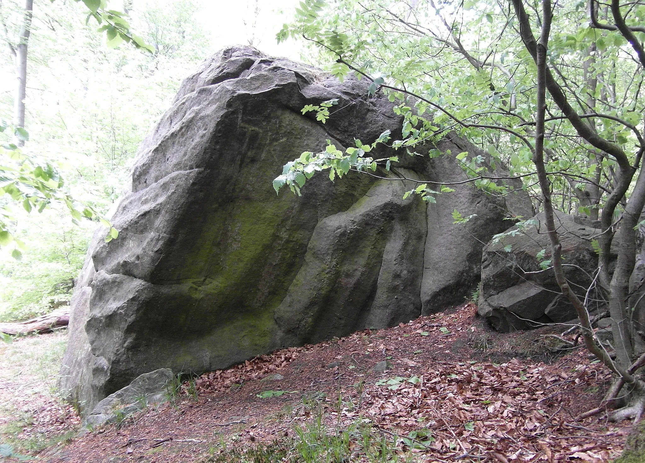 Photo showing: Naturdenkmal ND-HM 174 Teufelskanzel im Deister. Bei Nienstedt, Stadt Bad Münder, Landkreis Hameln. Südostansicht.