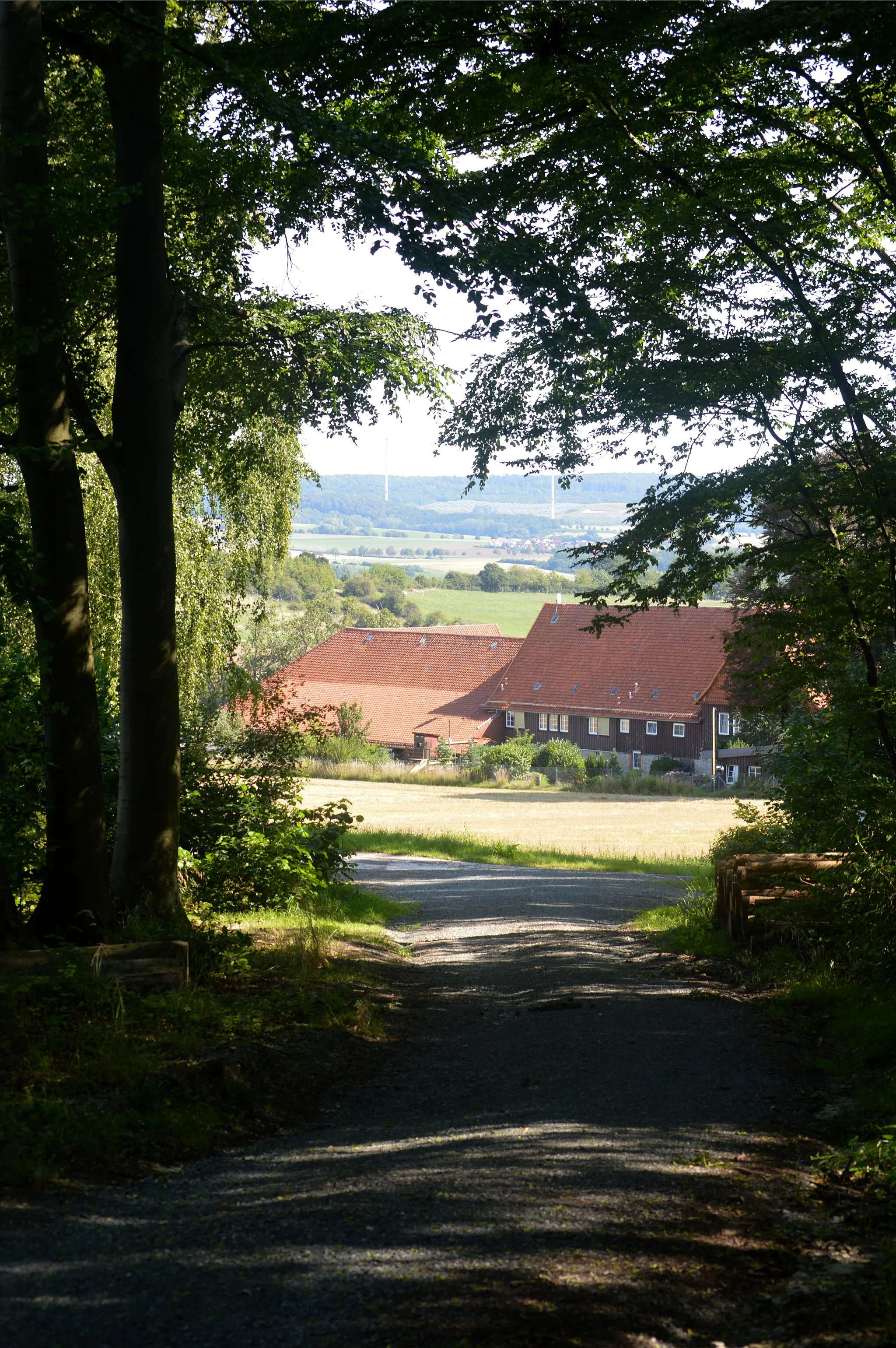 Photo showing: Landschaftsschutzgebiet Röderhofer Teiche und Egenstedter Forst - Blick auf das Gut vom Wald aus