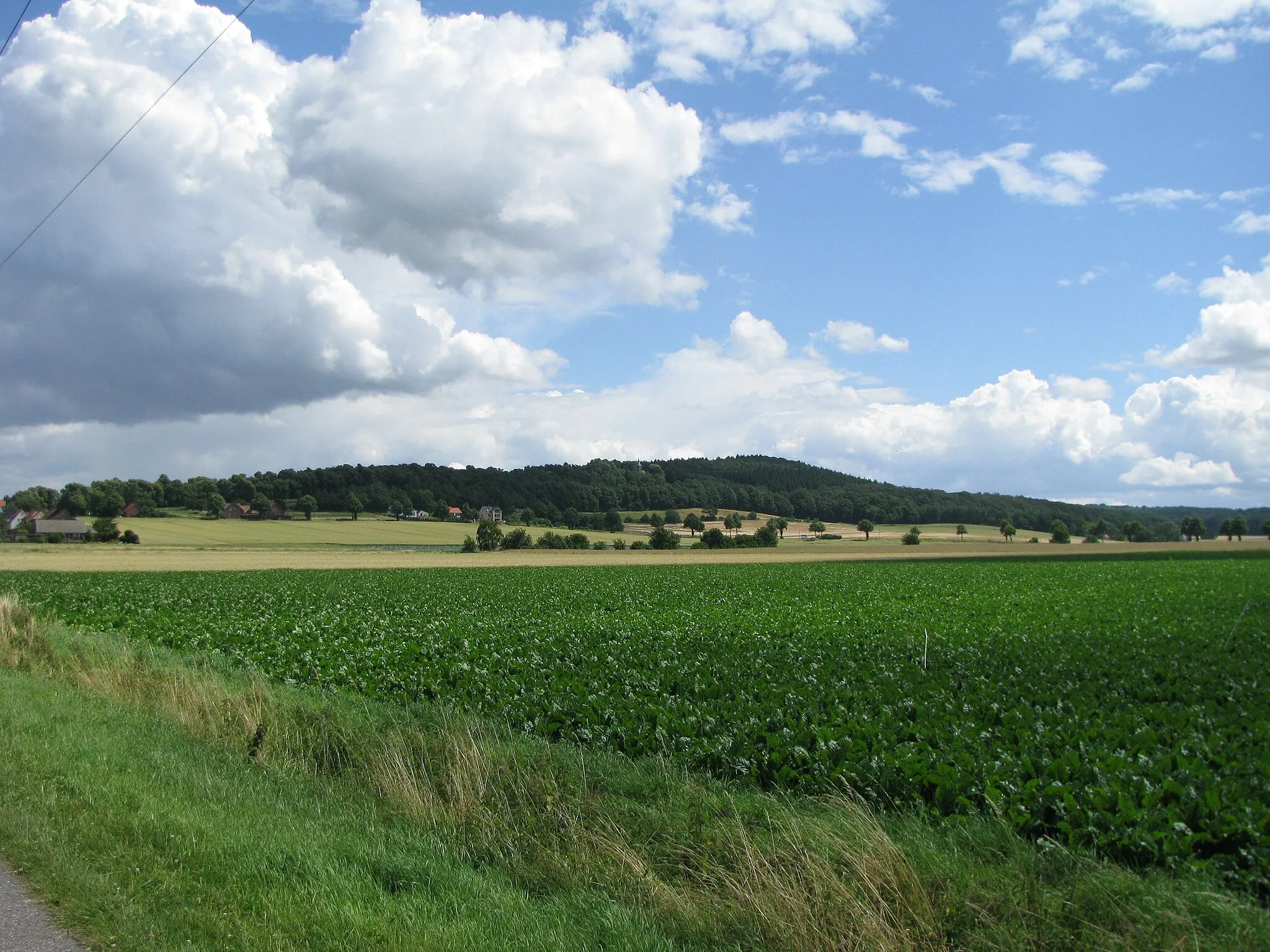 Photo showing: Blick auf den Kapellenberg von Nordwesten