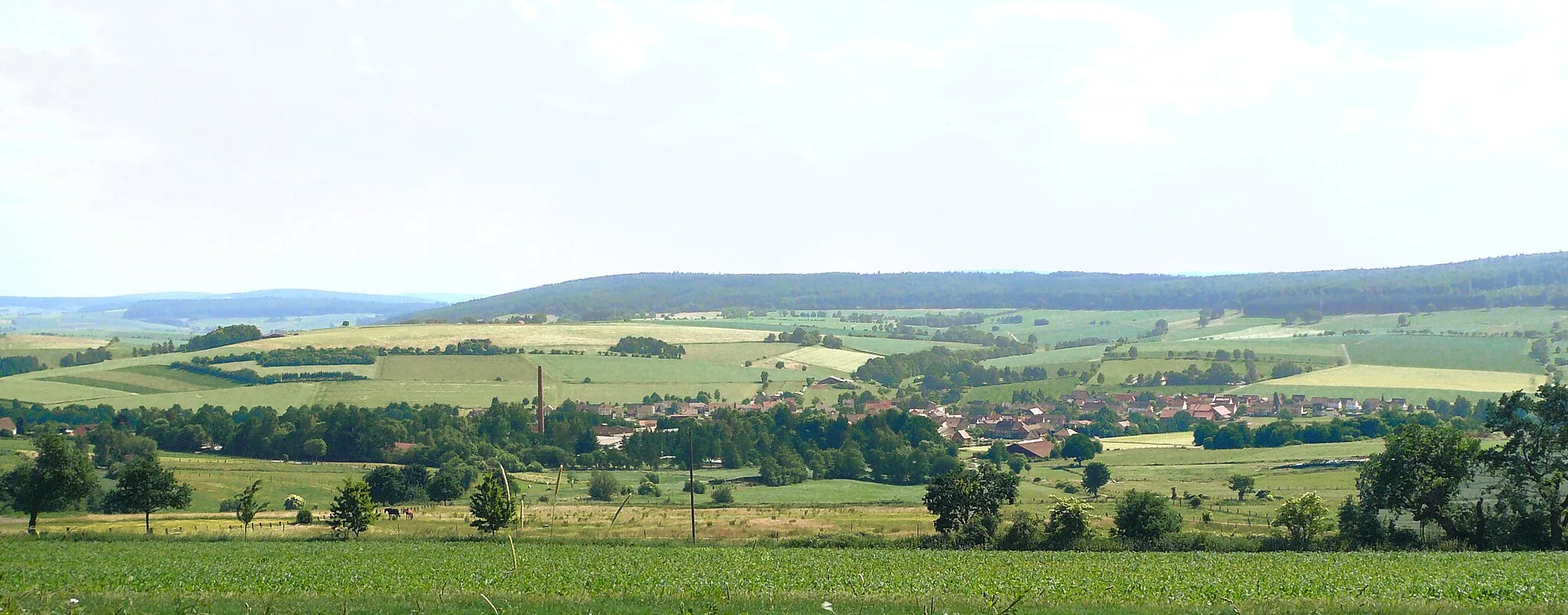 Photo showing: Blick von Norden vom Hang des Strutberges ins Ahletal auf Sohlingen, Stadt Uslar, Südniedersachsen