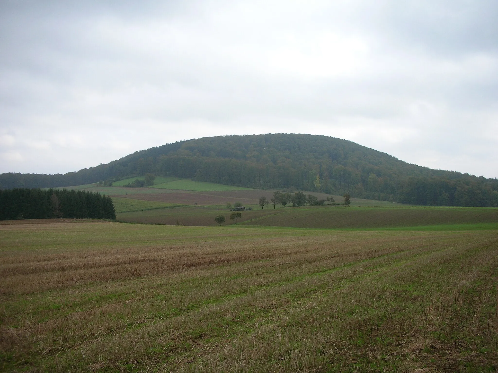 Photo showing: Herlingsburg in the Lipper Bergland