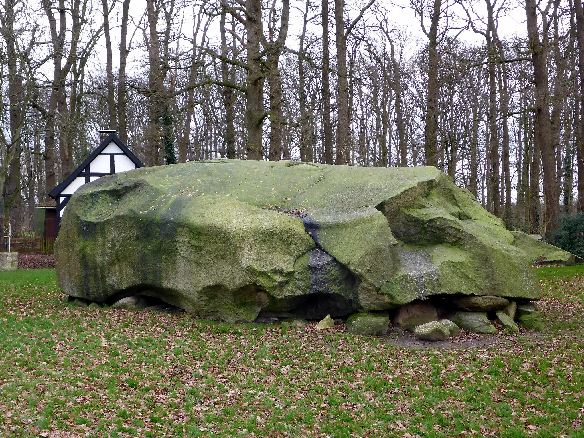 Photo showing: Der Große Stein in Tonnenheide (Ortschaft der Stadt Rahden) aus westlicher Richtung.