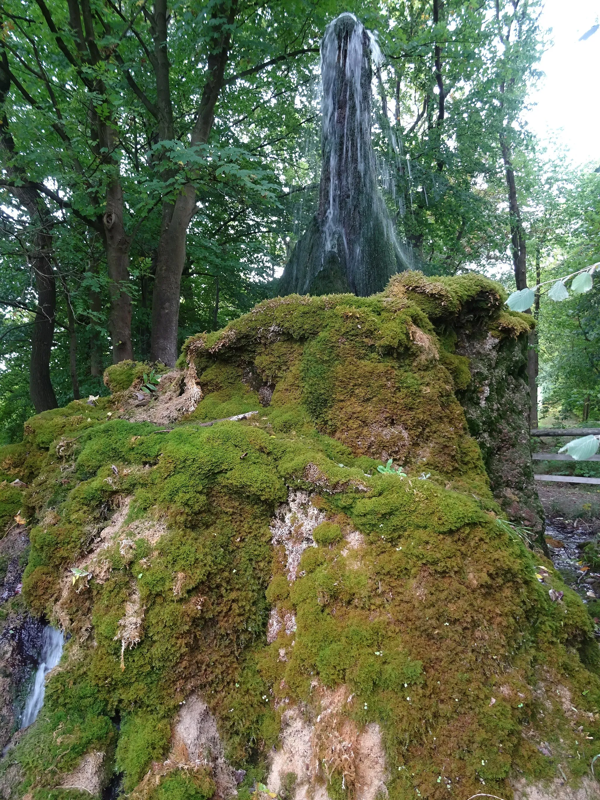 Photo showing: ND-HM 212 Wasserbaum in Ockensen