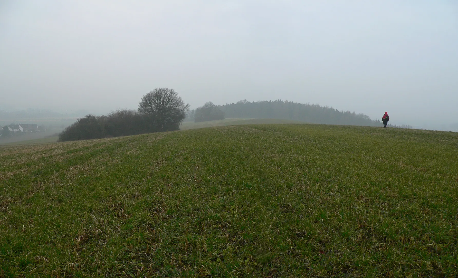 Photo showing: Kamm des Stemmer Berges, links Stemmen