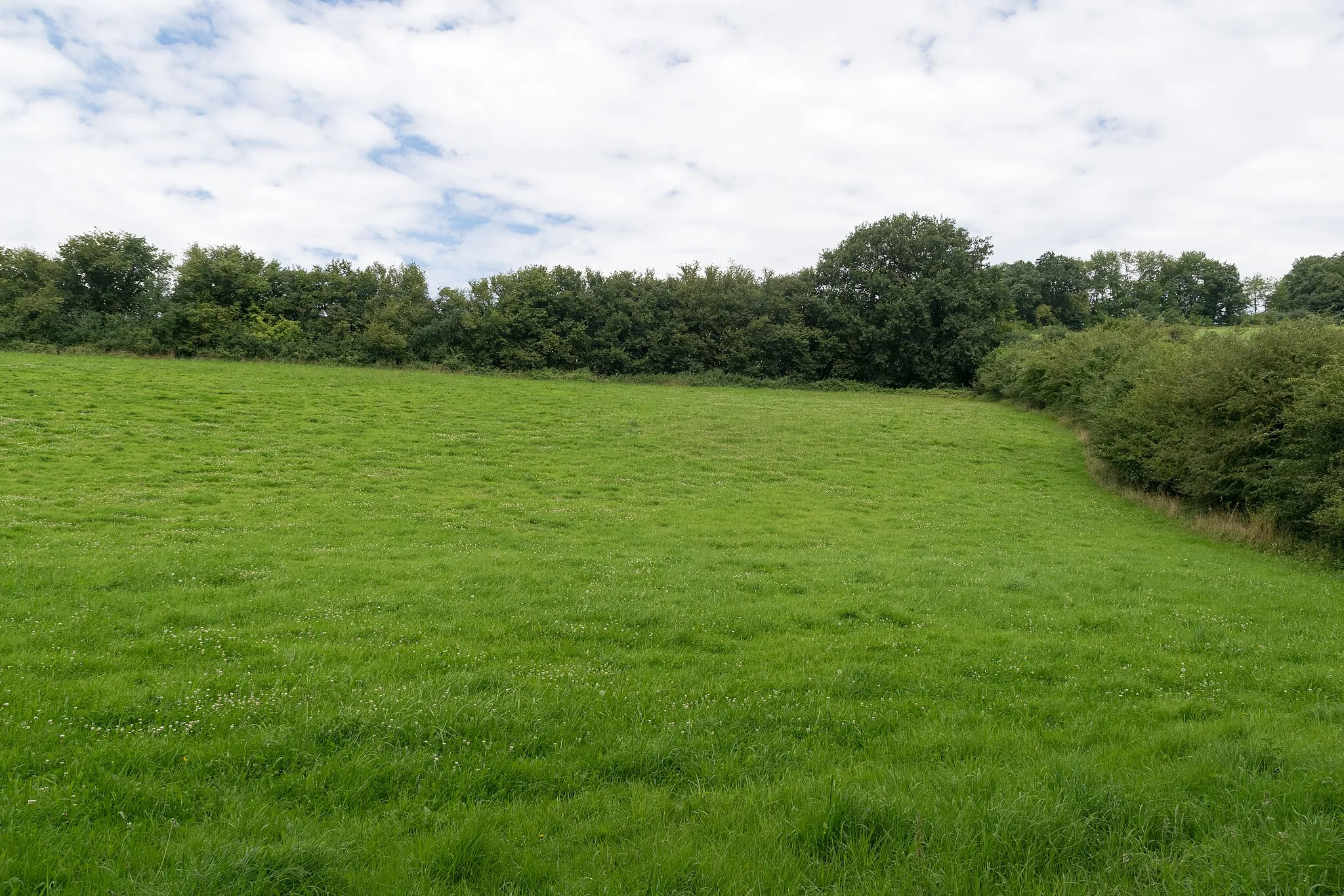 Photo showing: Naturschutzgebiet "Rinnenberg", Extertal, Kreis Lippe