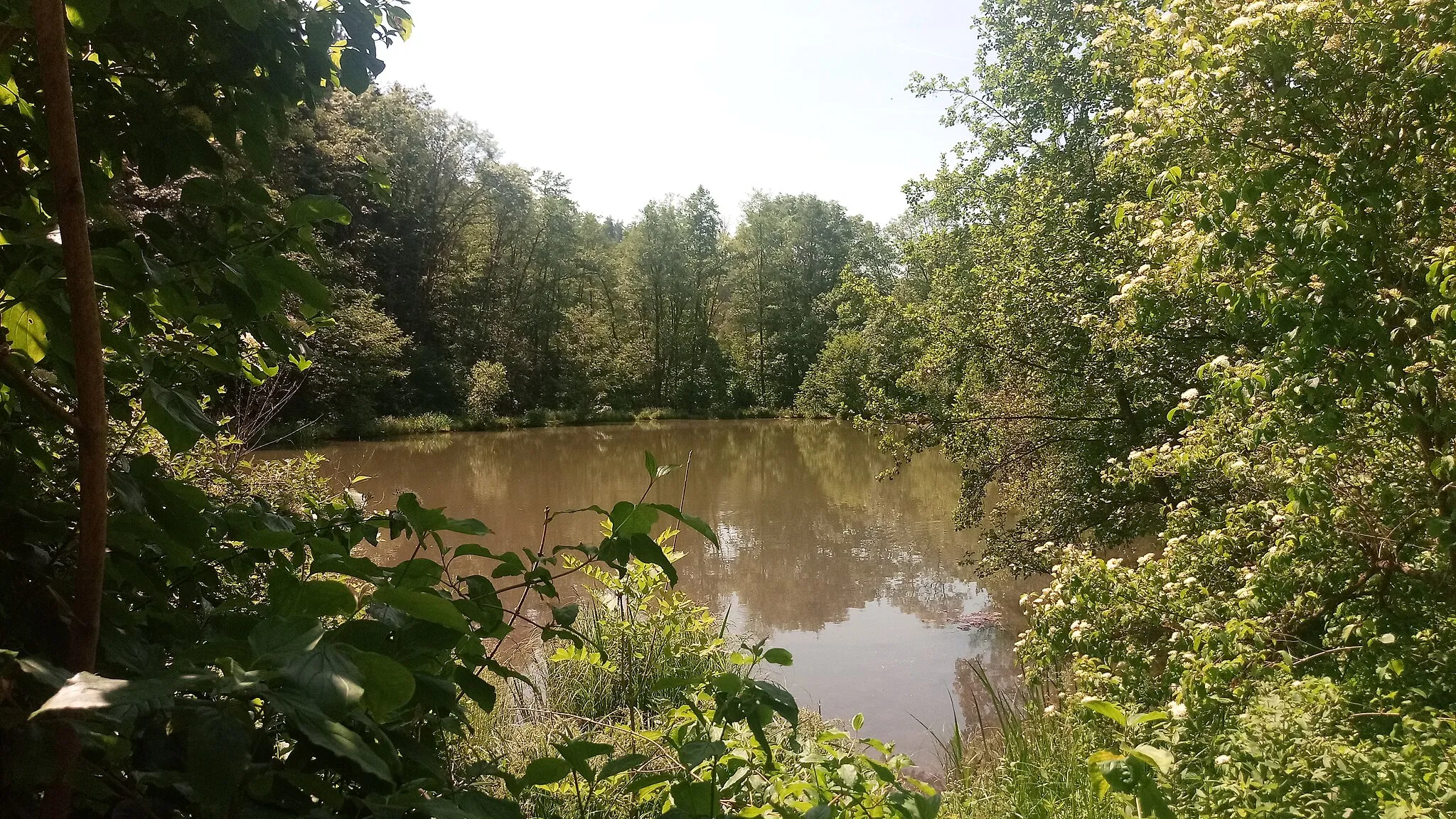 Photo showing: Waldsee N'gerach