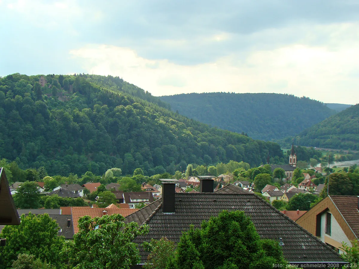 Photo showing: Blick über die Dächer von Neckargerach zu der über dem anderen Neckarufer liegenden Minneburg