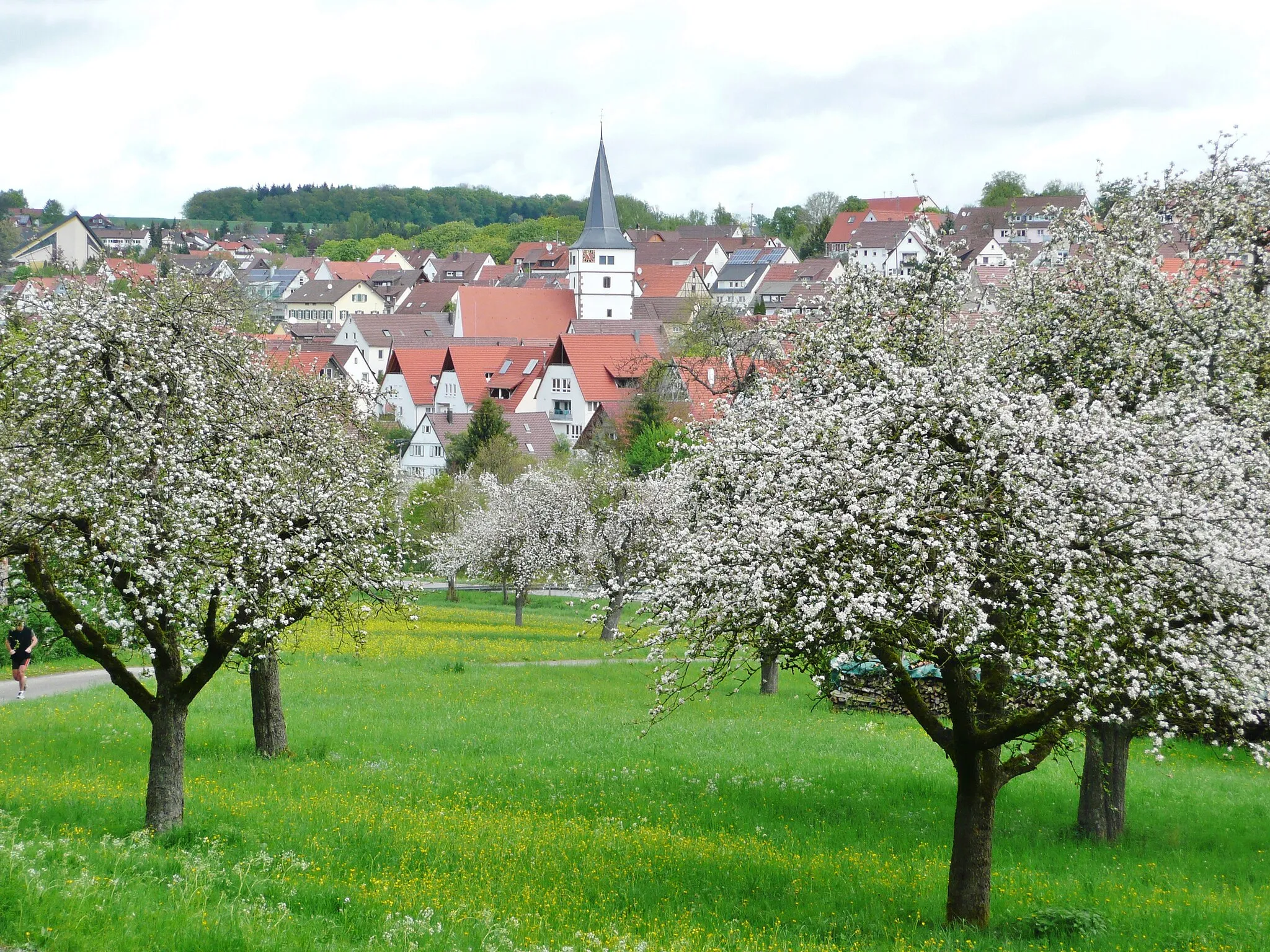 Photo showing: Döffingen