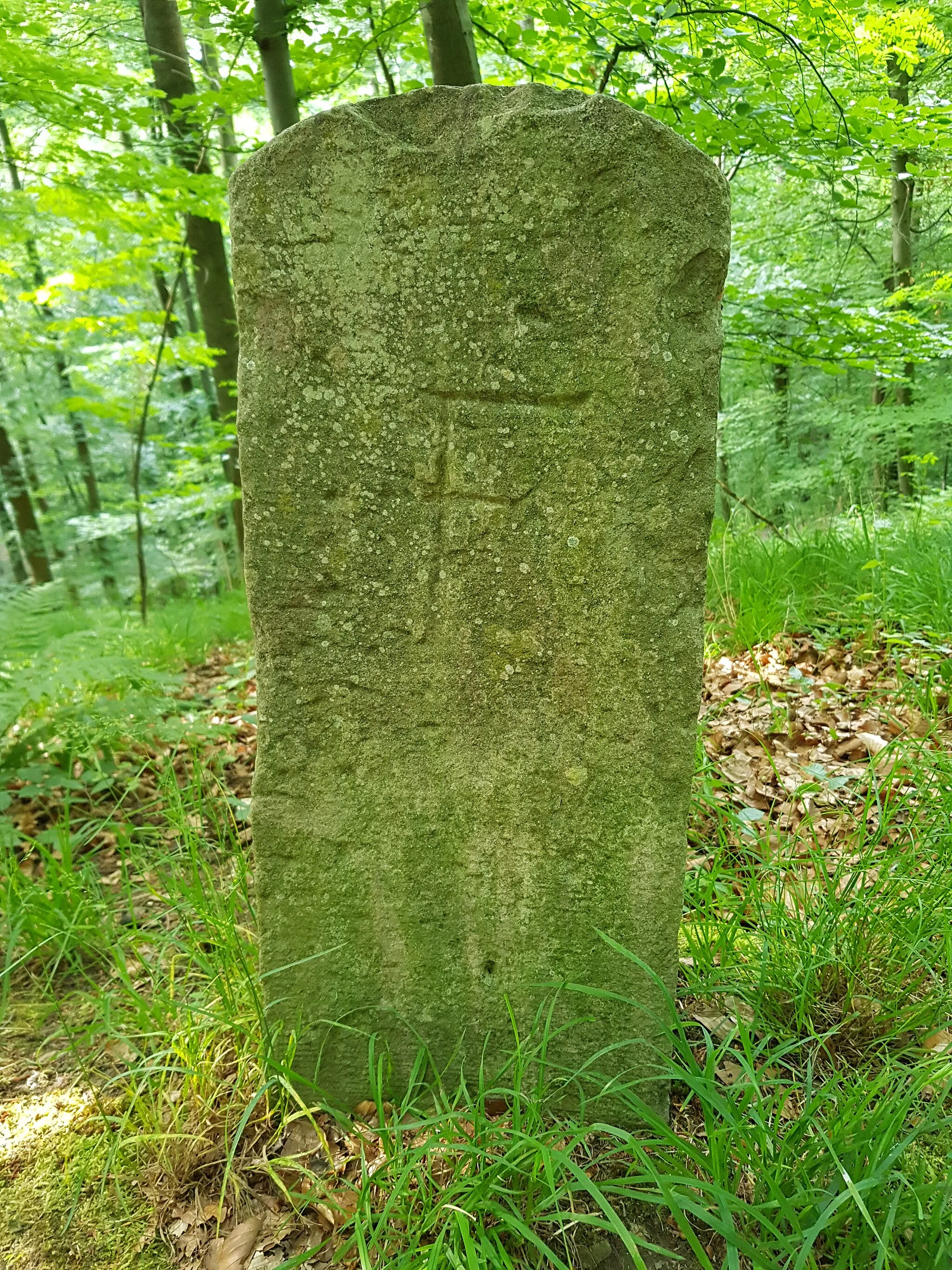 Photo showing: Grenzstein Greutterwald CSV Nr. 60 Seite 4, Standort: Standort: fast parallel verlaufend zum Hornsträßle (Lemberg), Grenzverlauf zwischen den Stadtteilen Weilimdorf (Stadtbezirk: Weilimdorf) und Lemberg/Förich (Stadtbezirk: Feuerbach), Stadt: Stuttgart, Land: Deutschland - Koordinaten: Breitengrad: 48.81777777777778, Längengrad: 9.13361111111111