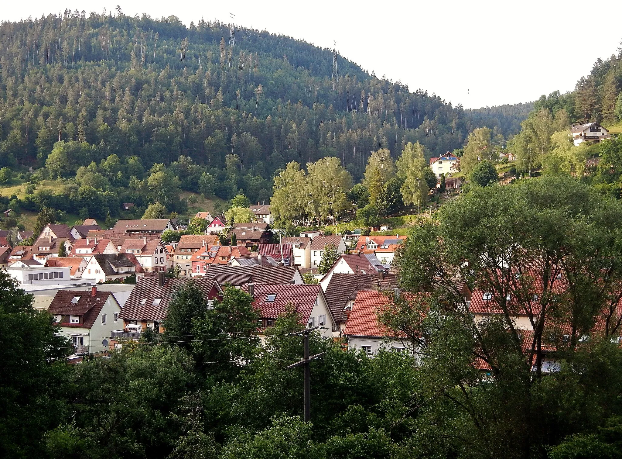 Photo showing: Calmbach, Bad Wildbad; im Wald (Hintergrund, oben) Masten der Anlage 615