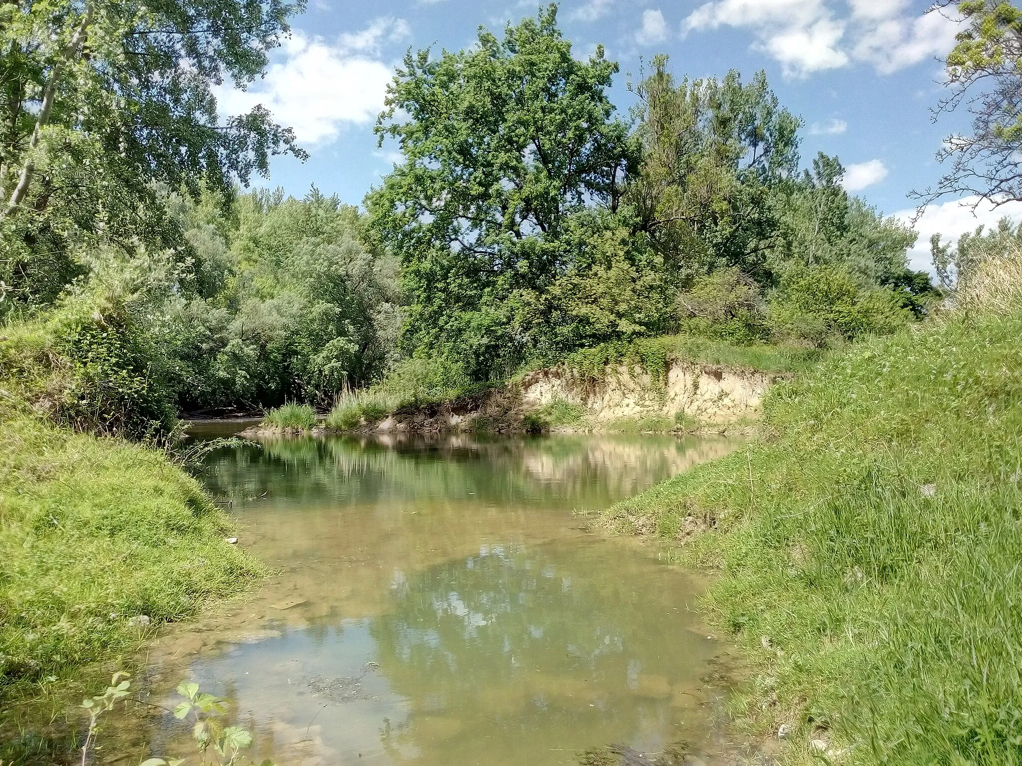 Photo showing: Sommerdeich im Rheinvorrland bei Alt-Dettenheim. Der nicht mehr benötigte Deich brach bei einem Hochwasser, wurde nicht mehr repariert und wird heute von einer Schlute durchflossen