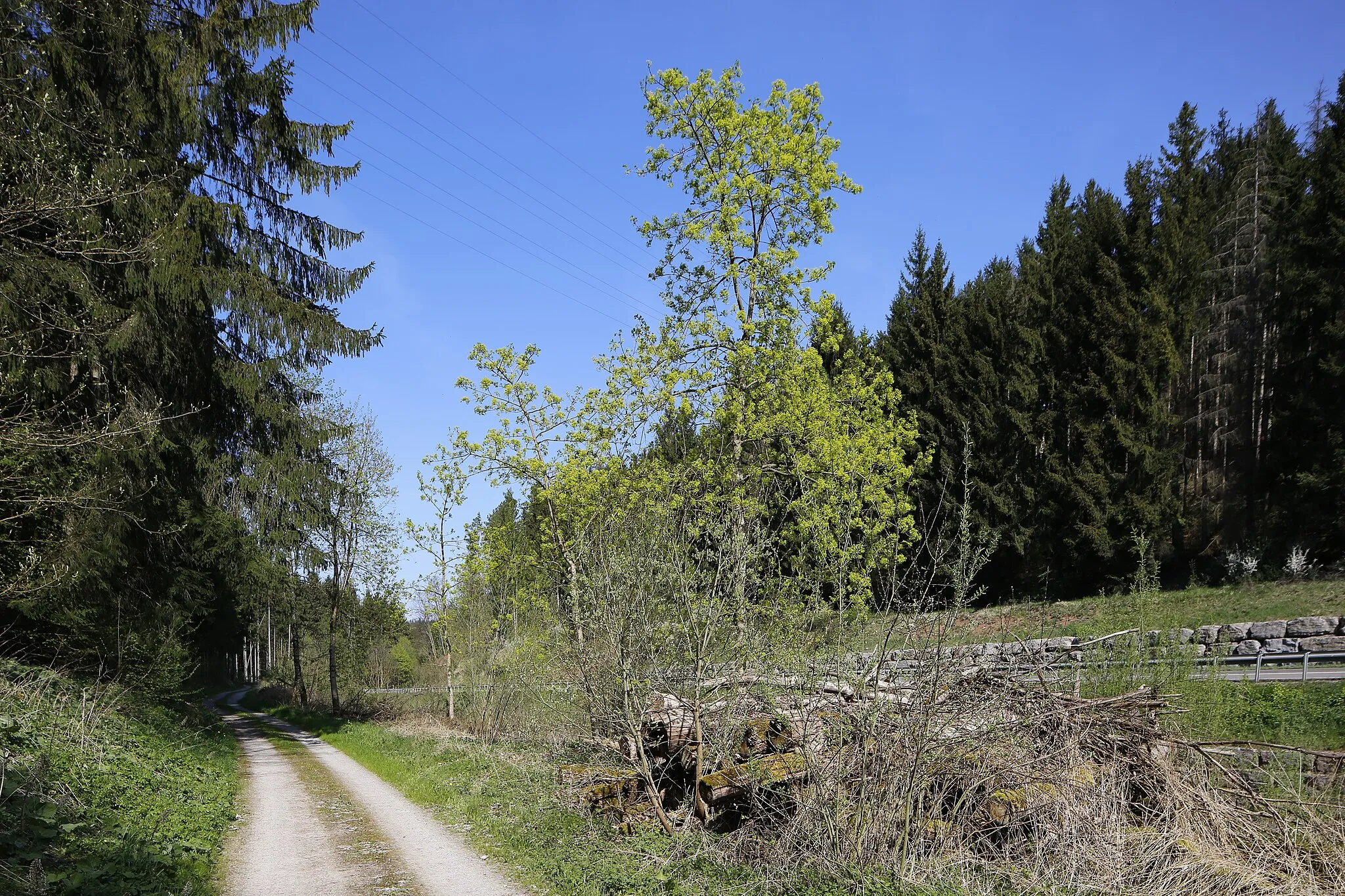 Photo showing: Im Agenbachtal zwischen den Wildberger Ortsteilen Sulz am Eck, Gültlingen und Wächtersberg.