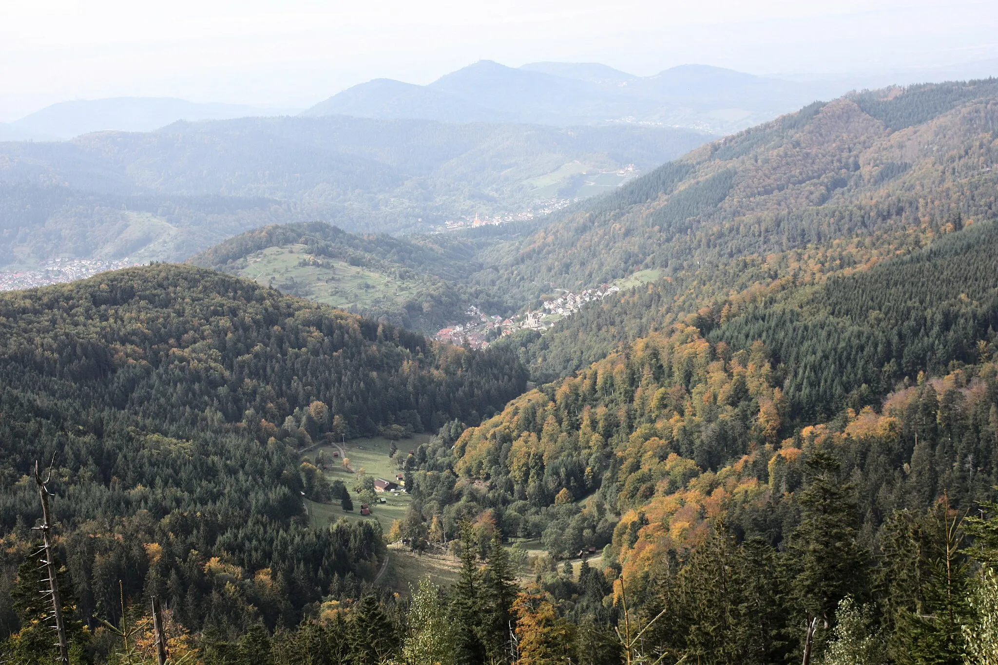 Photo showing: View to valley Reichental
