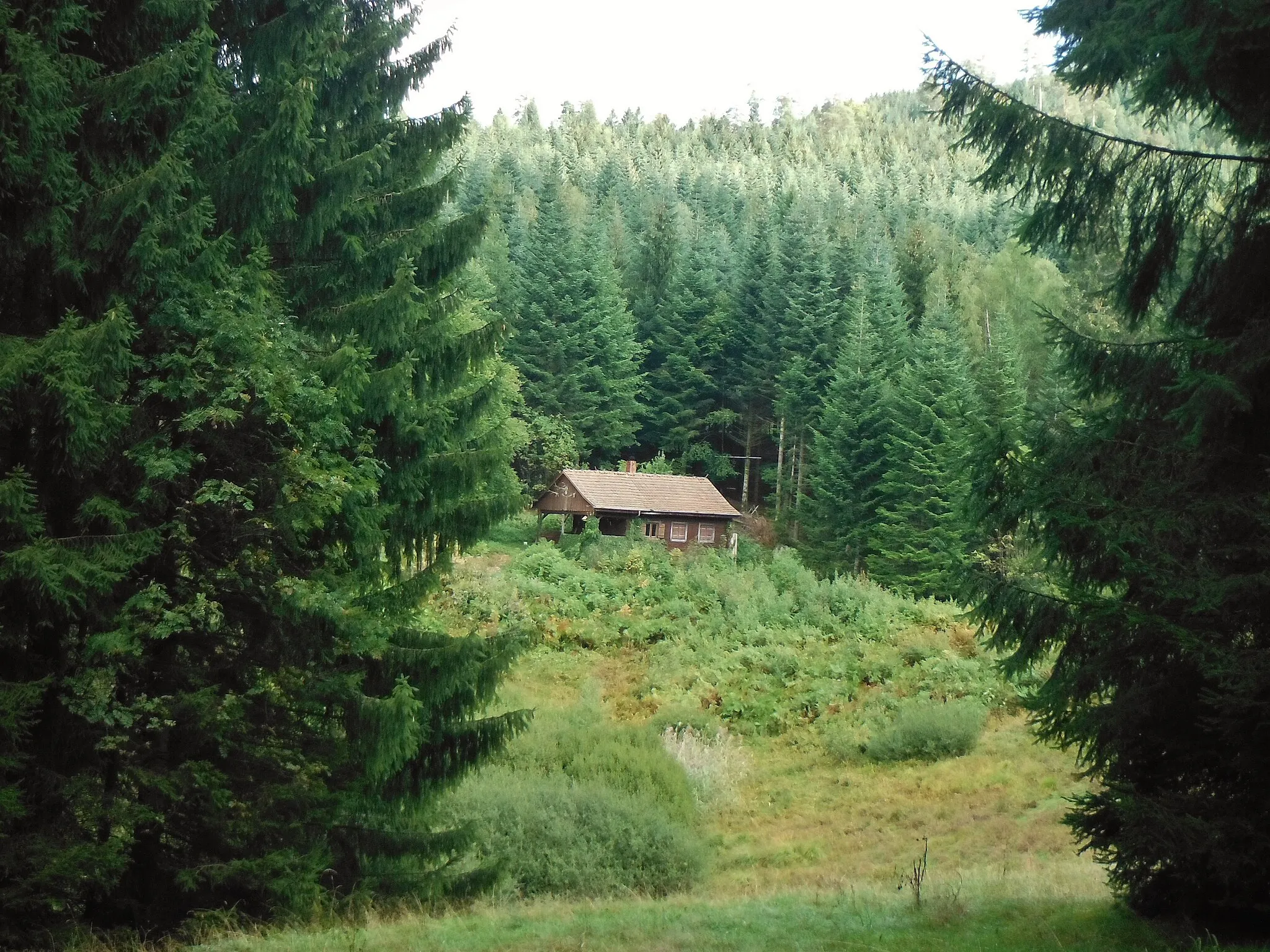 Photo showing: im Steintal oberhalb von Lautenbach, Gernsbach
