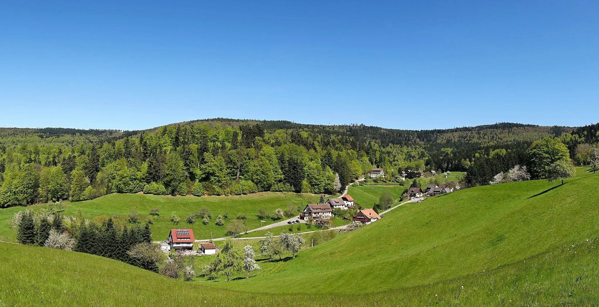 Photo showing: Meadow in Bad Herrenalb