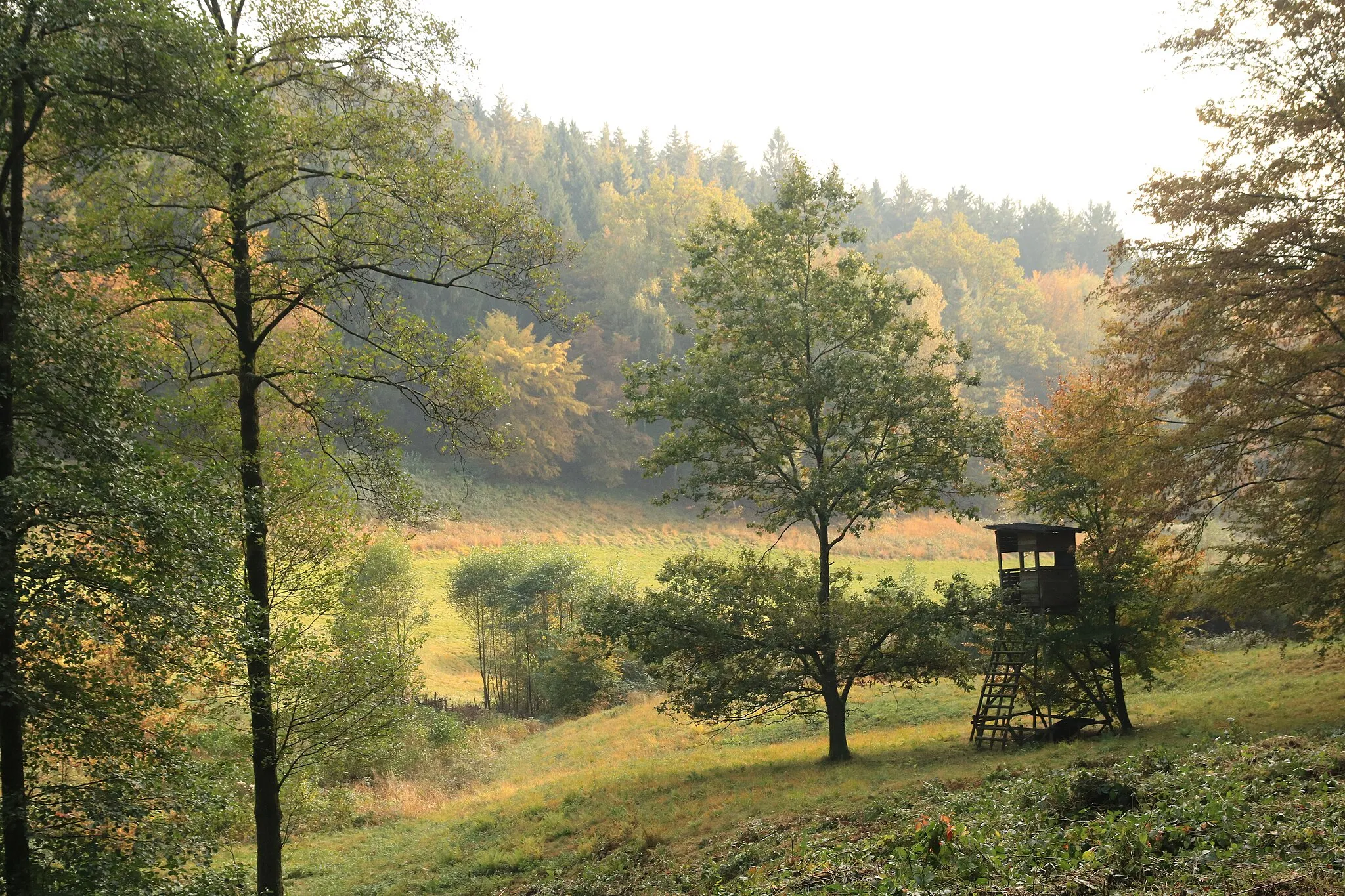Photo showing: Wiesental in Dürr-Ellenbach, Naturschutzgebiet „Dürr-Ellenbachtal von Wald-Michelbach“