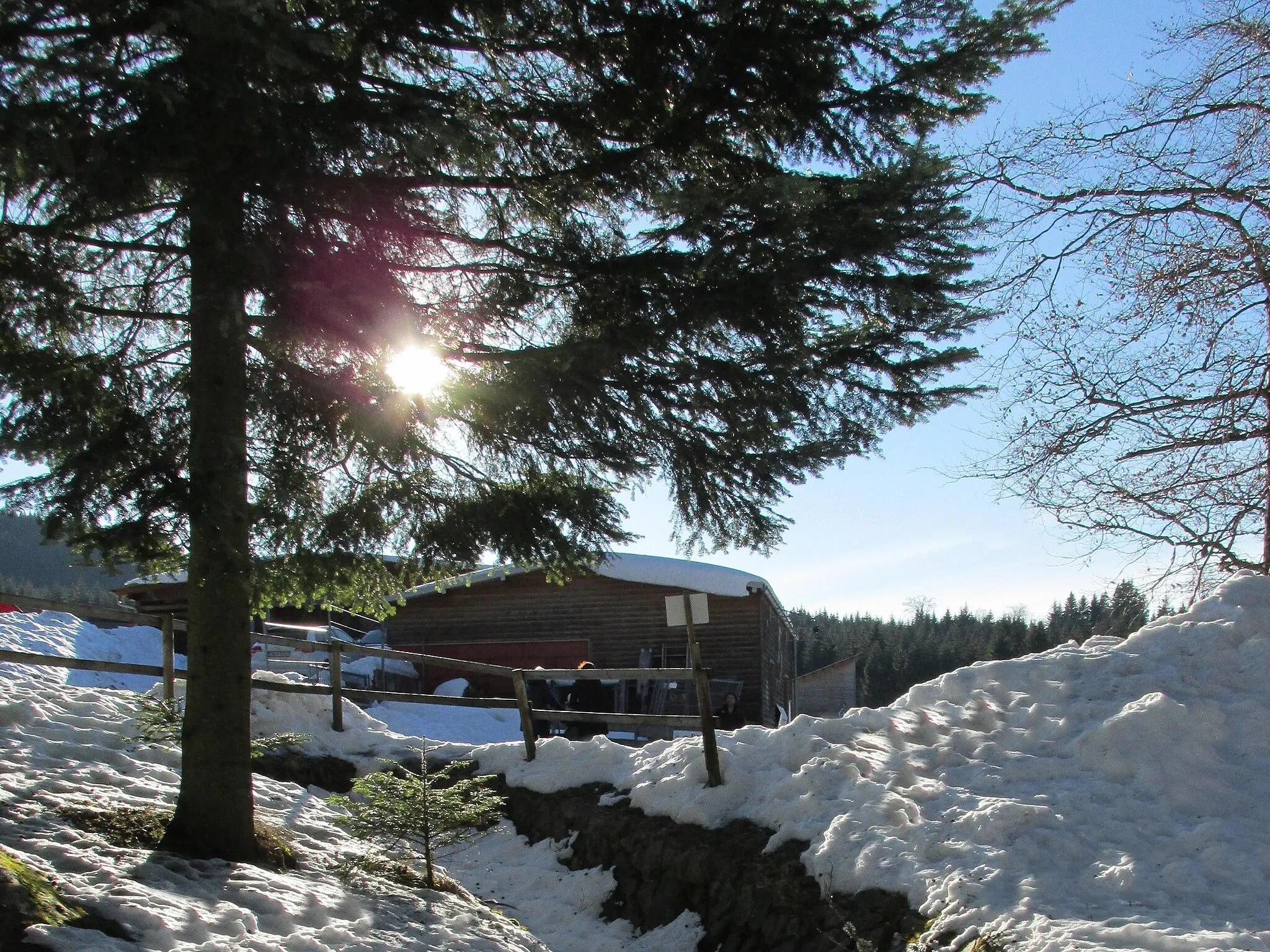 Photo showing: Nationalpark Nordschwarzwald