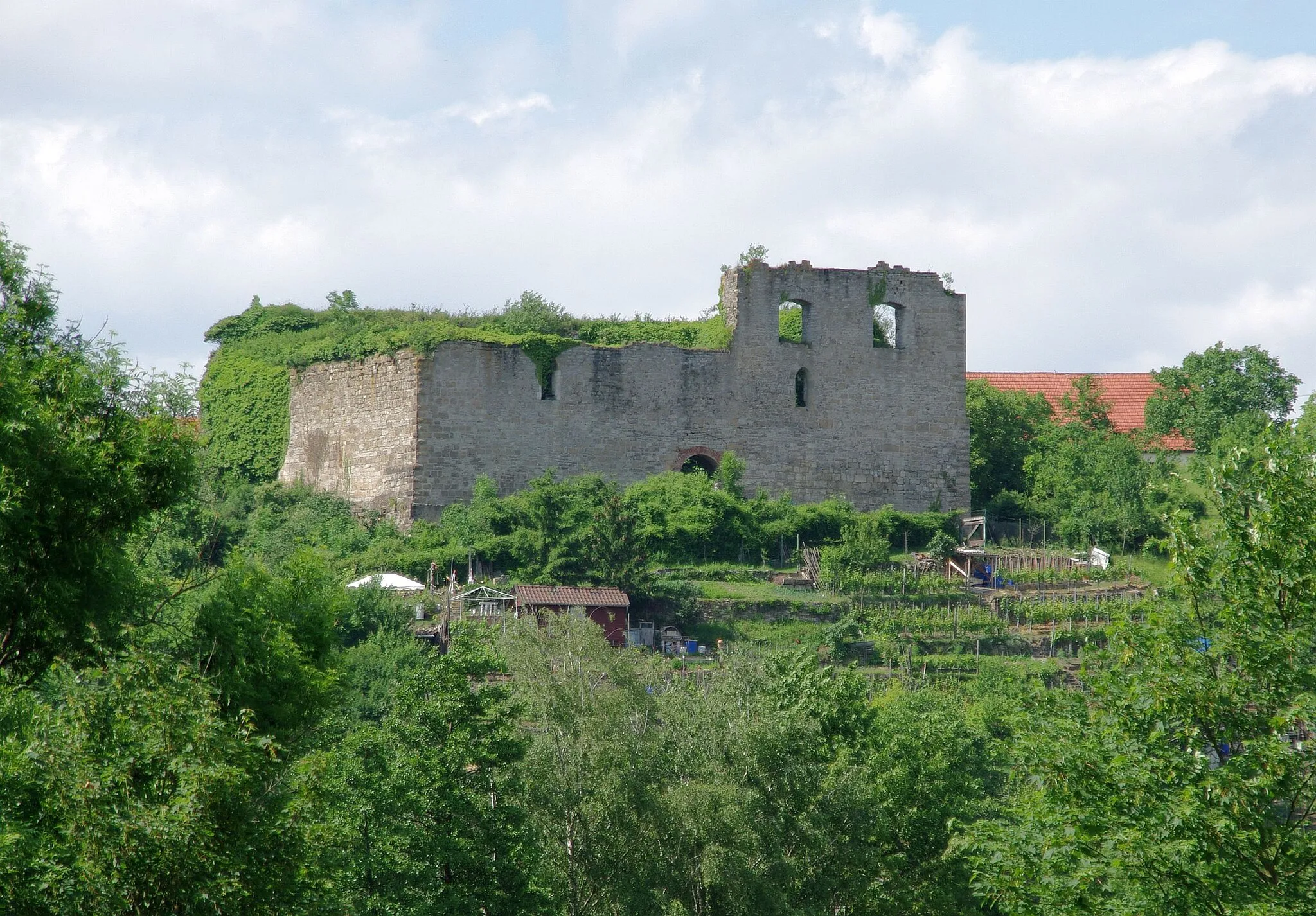 Photo showing: The castle ruin Altsachsenheim (belonging to Sachsenheim in the german state Baden-Württemberg) above the valley of the river Enz near Untermberg.