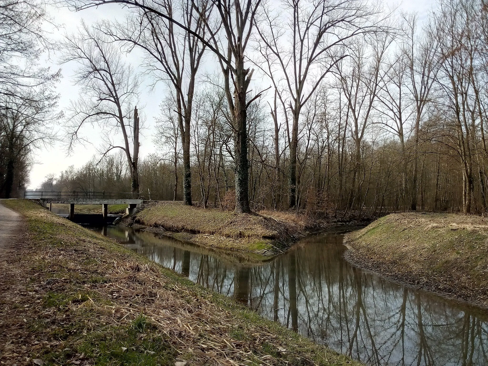 Photo showing: Mündung der Alten Bach (rechts) in die Pfinz-Korrektion unterhalb des Lochenwaldwehrs zwischen Blankenloch und Spöck (beide zu Stutensee)