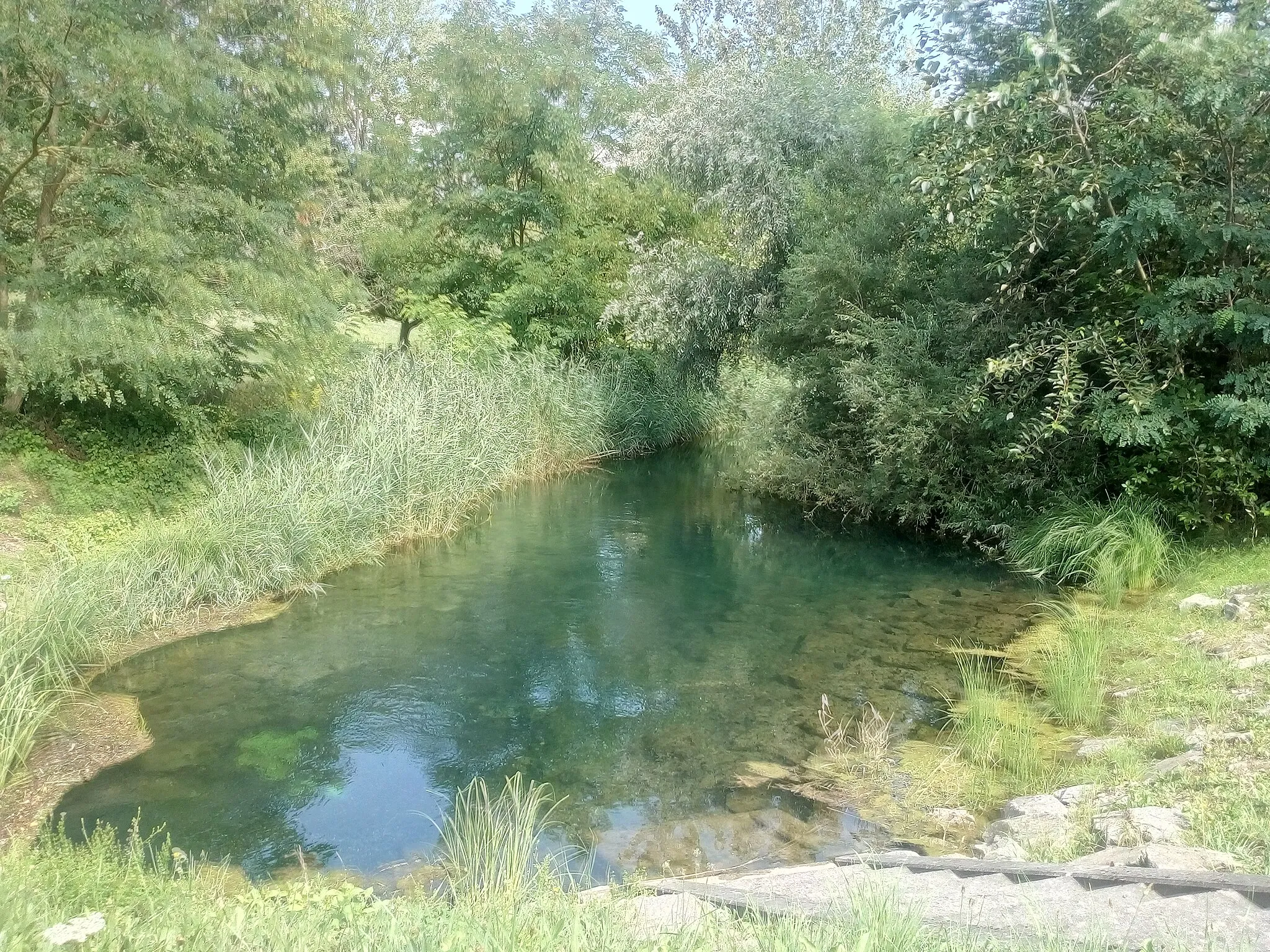 Photo showing: Altrheinzug südlich und außerhalb des Polders Söllingen/Greffern, Gemarkung Greffern