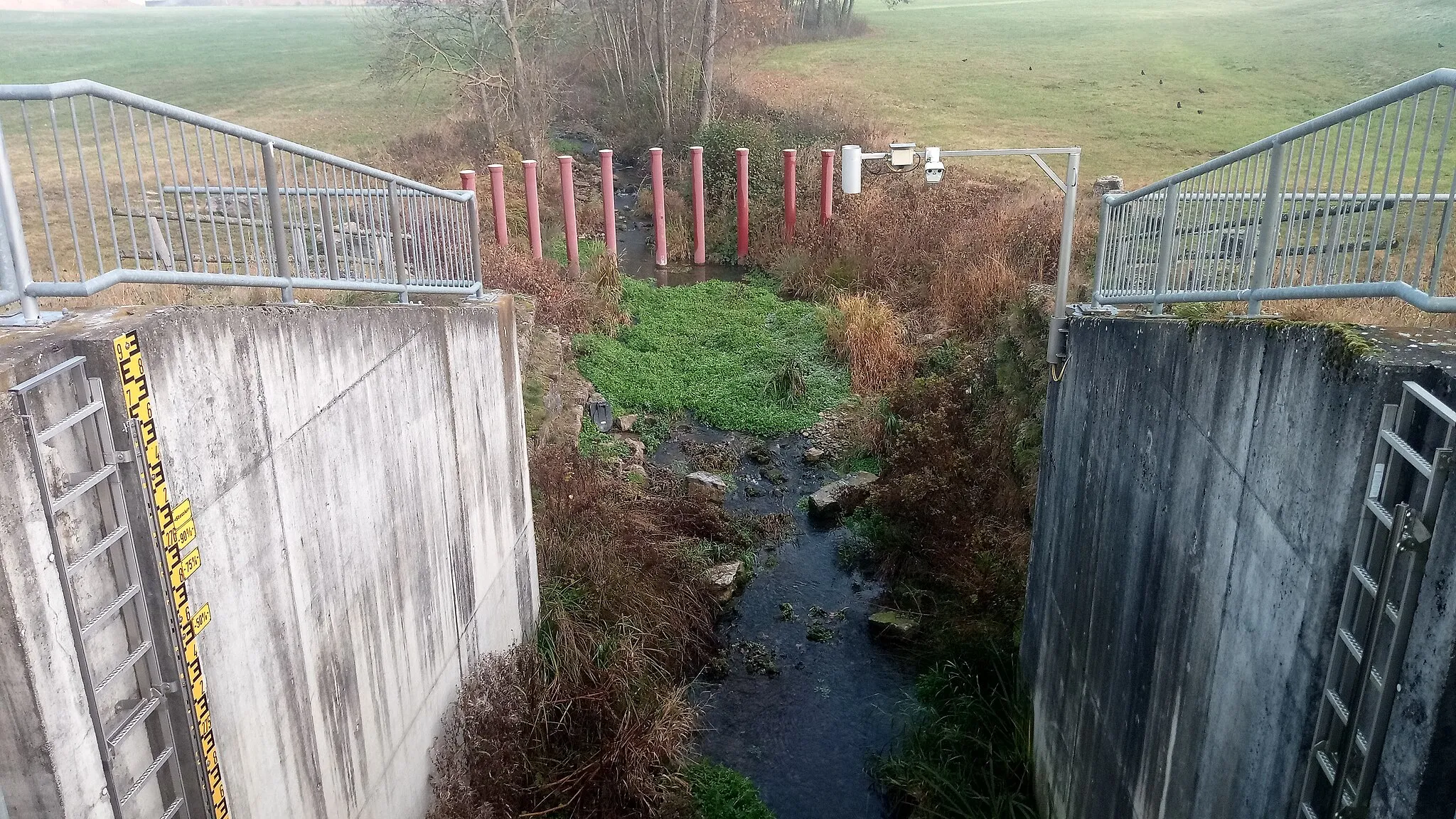 Photo showing: Die Schefflenz regulierendes Hochwasserrückhaltebecken bei Mittelschefflenz