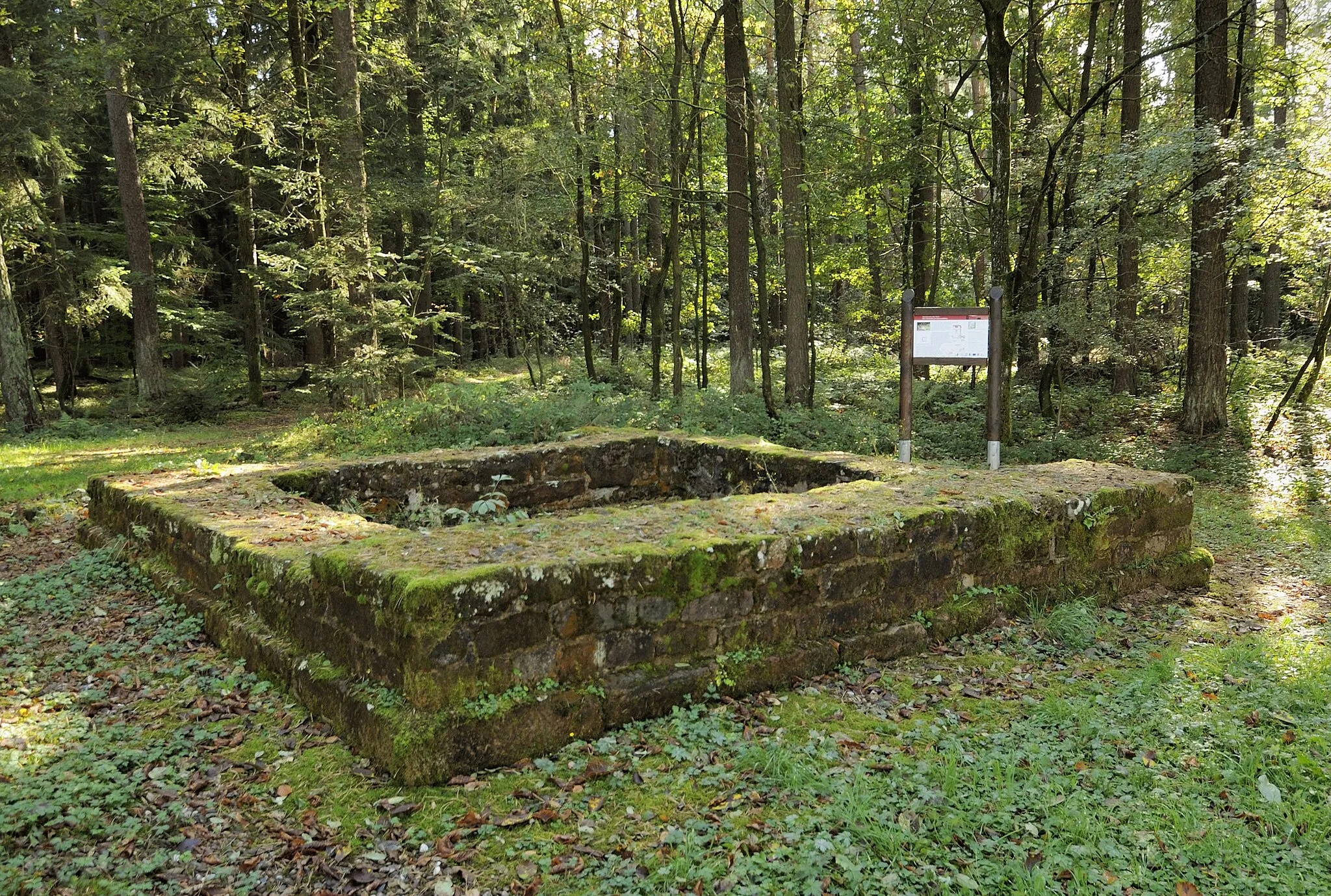 Photo showing: Limes tower Wp 10/25 next to Castellum Würzberg.