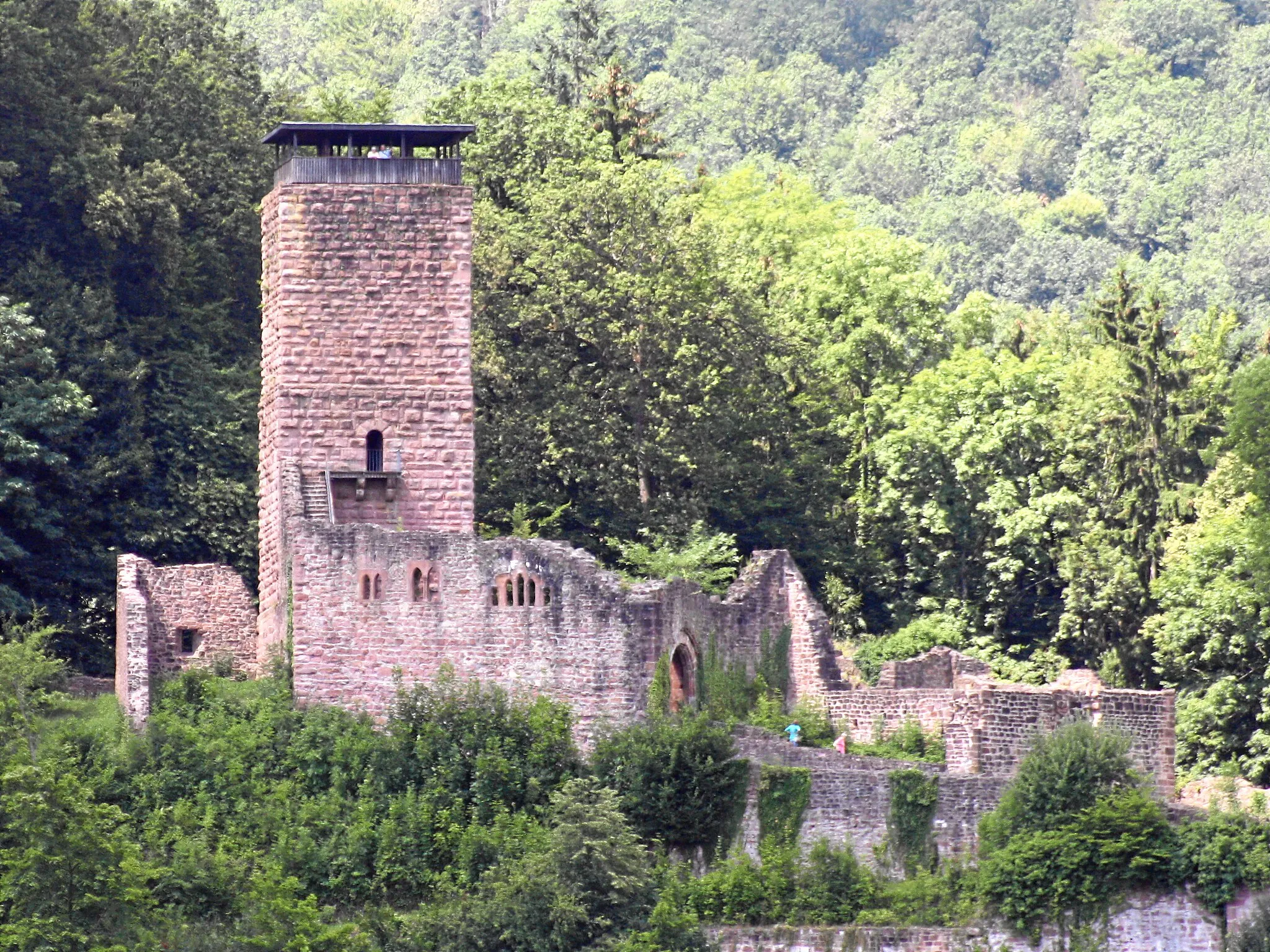 Photo showing: Neckarsteinach, Germany. Hinterburg, castel with origin in 1100.