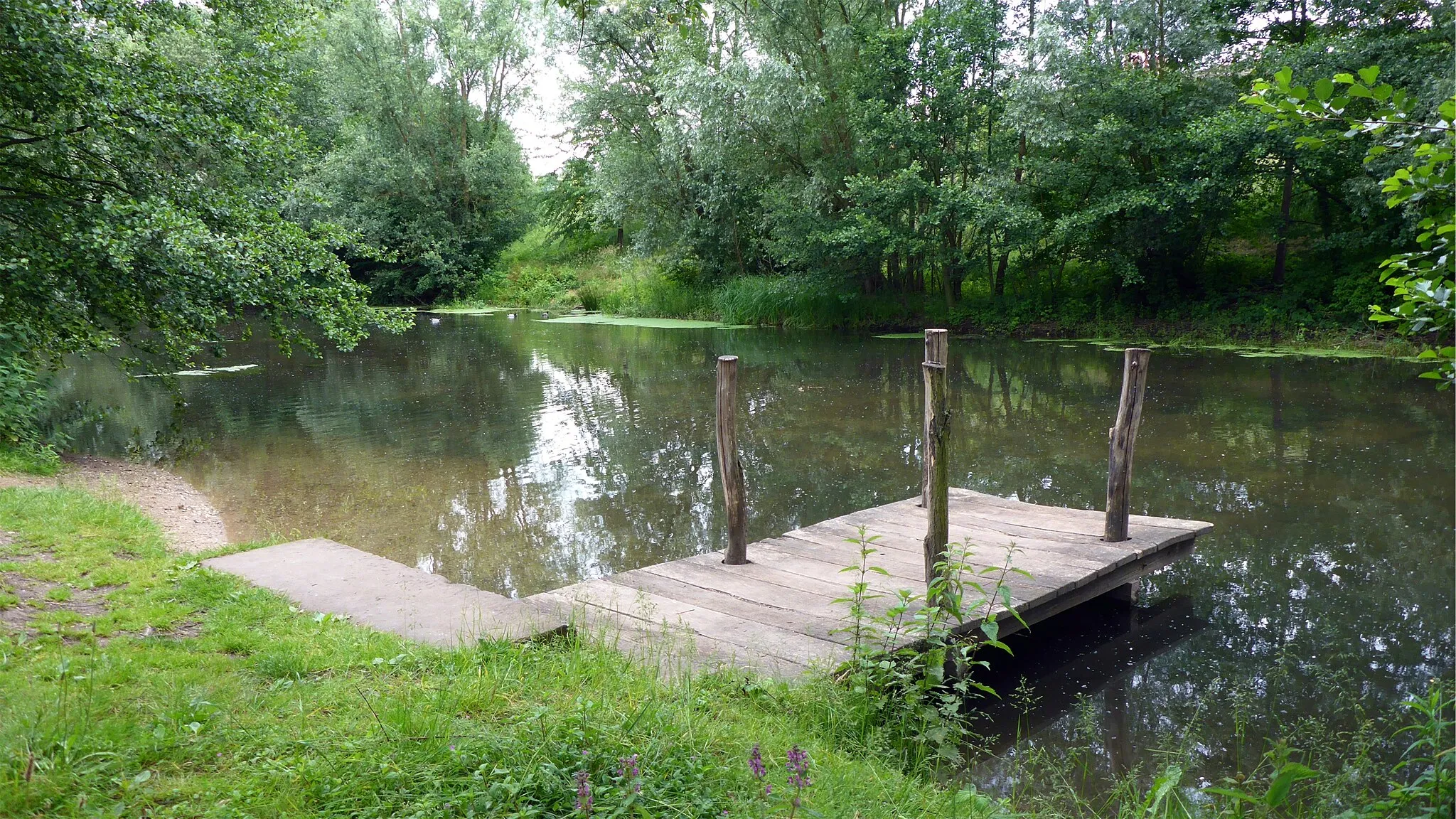 Photo showing: Naturschutzgebiet „Burgau“ is a nature reserve in Baden-Württemberg, Germany.