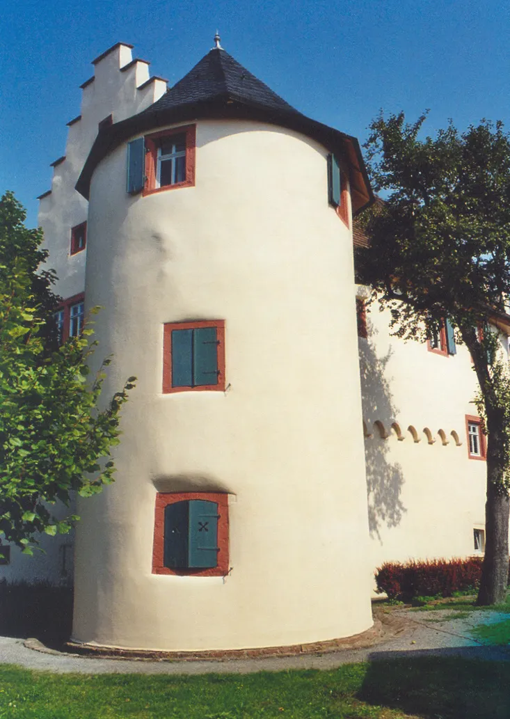 Photo showing: Das Dallauer Schloss: Eckturm und Palas blieben erhalten.