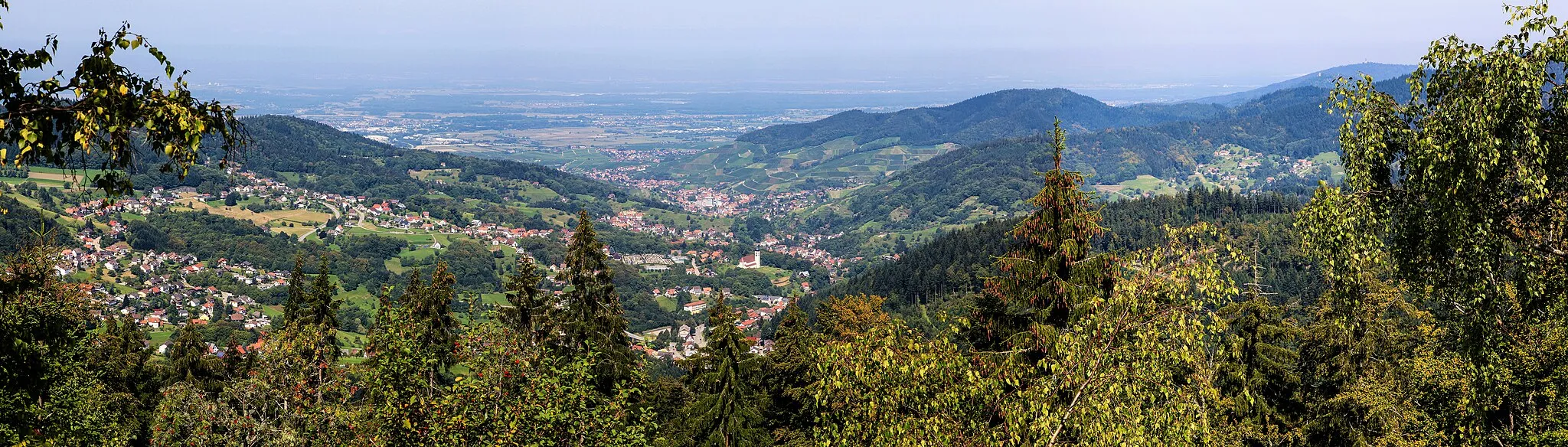 Photo showing: Blick vom Sickenwalder Horn auf Bühlertal
