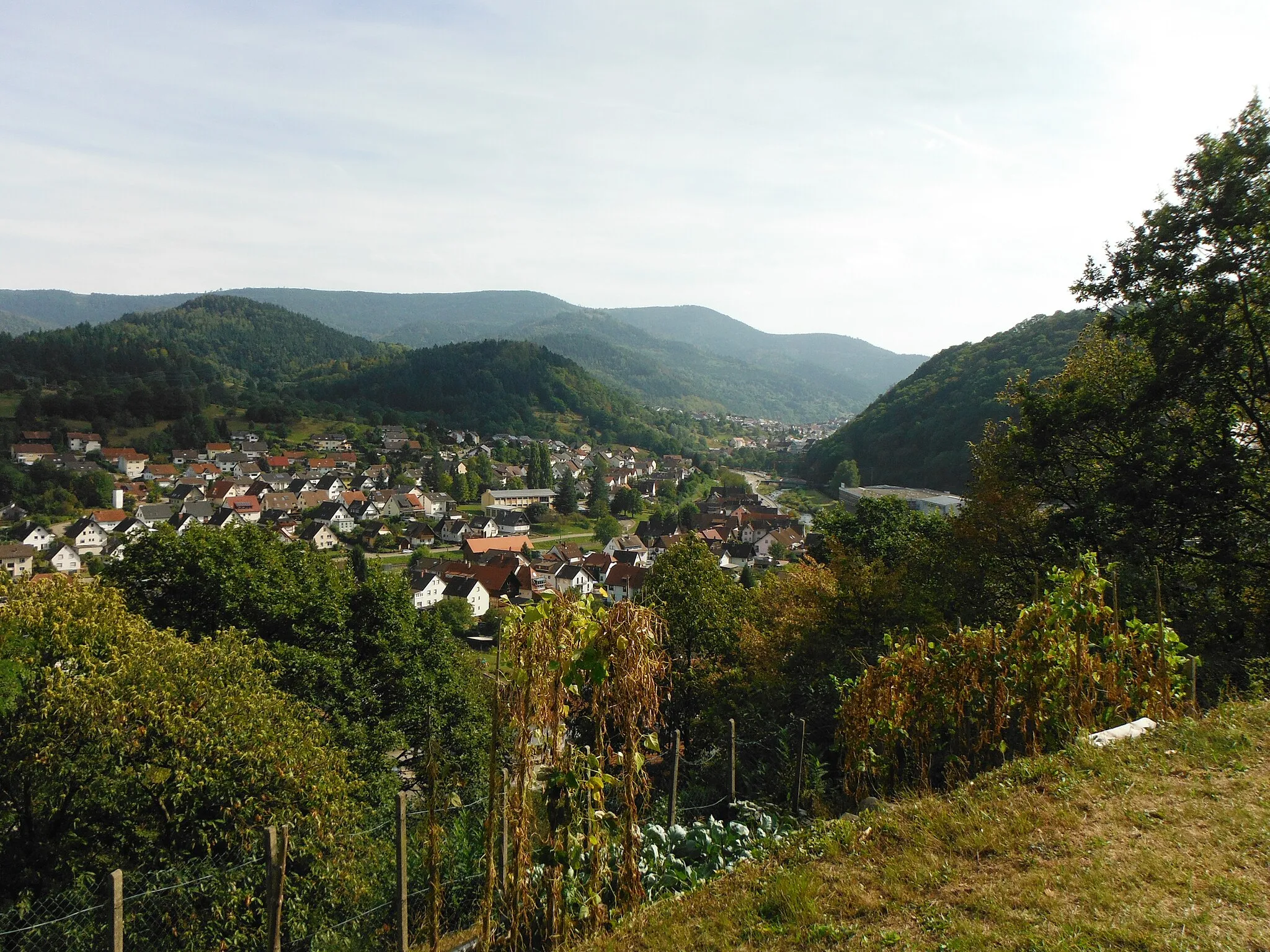 Photo showing: Ausblick vom Wanderweg oberhalb Hilpertsau/Obertsrot (1)