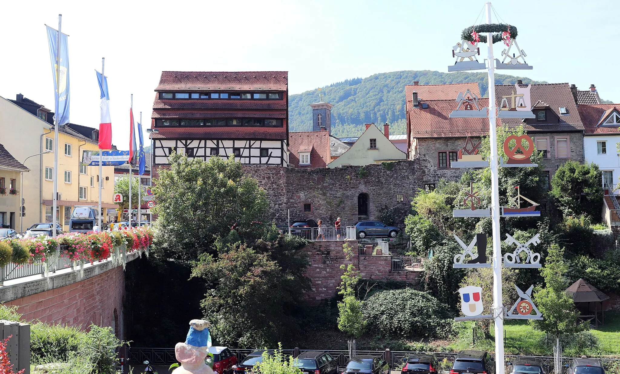 Photo showing: Neckarsteinach