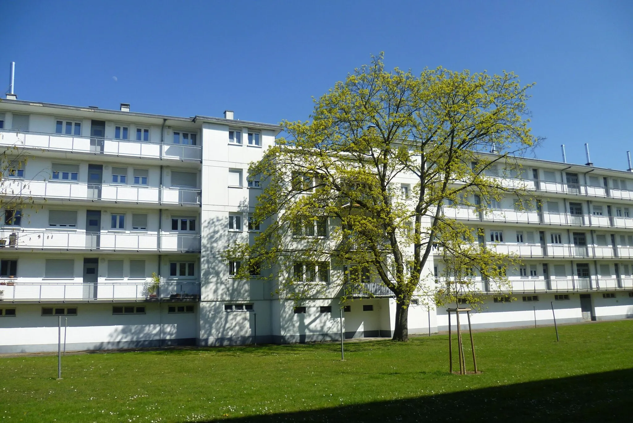 Photo showing: In den 20er Jahren des 20. Jahrhunderts als Wohnprojekt neuen Stils (beeinflusst vom Bauhaus Dessau) erbaut. Ziel u.a. : gesundes Wohnen auch in verdichteter und erschwinglicher Bauweise für breite Schichten der Bevölkerung in einer Zeit der Wohnungsnot (Vorbild für die 20er Jahre des 21. Jahrhunderts?!)