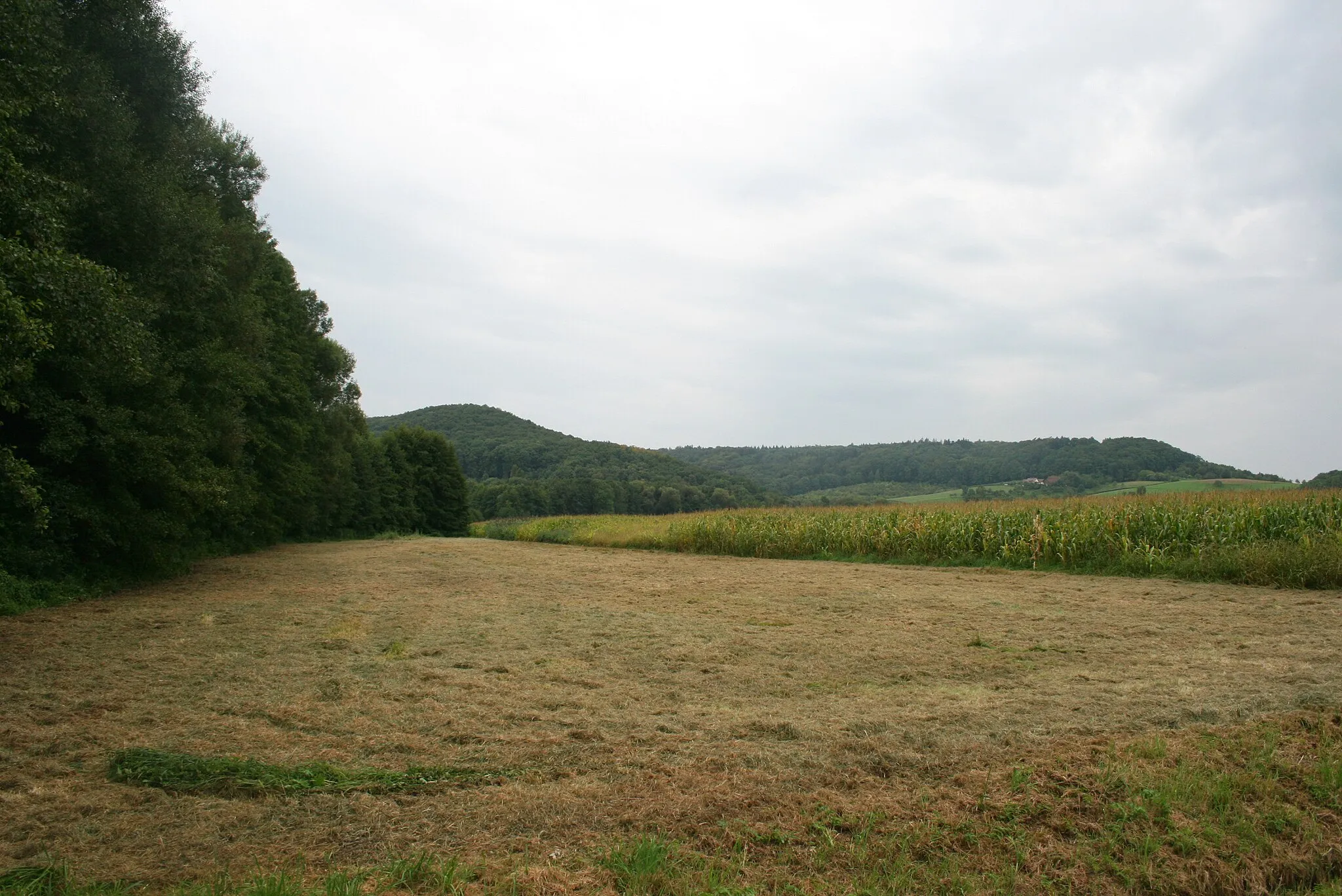 Photo showing: Die Talaue des Windischenbaches, oberhalb von Windischenbach in Richtung Klingenhof gesehen