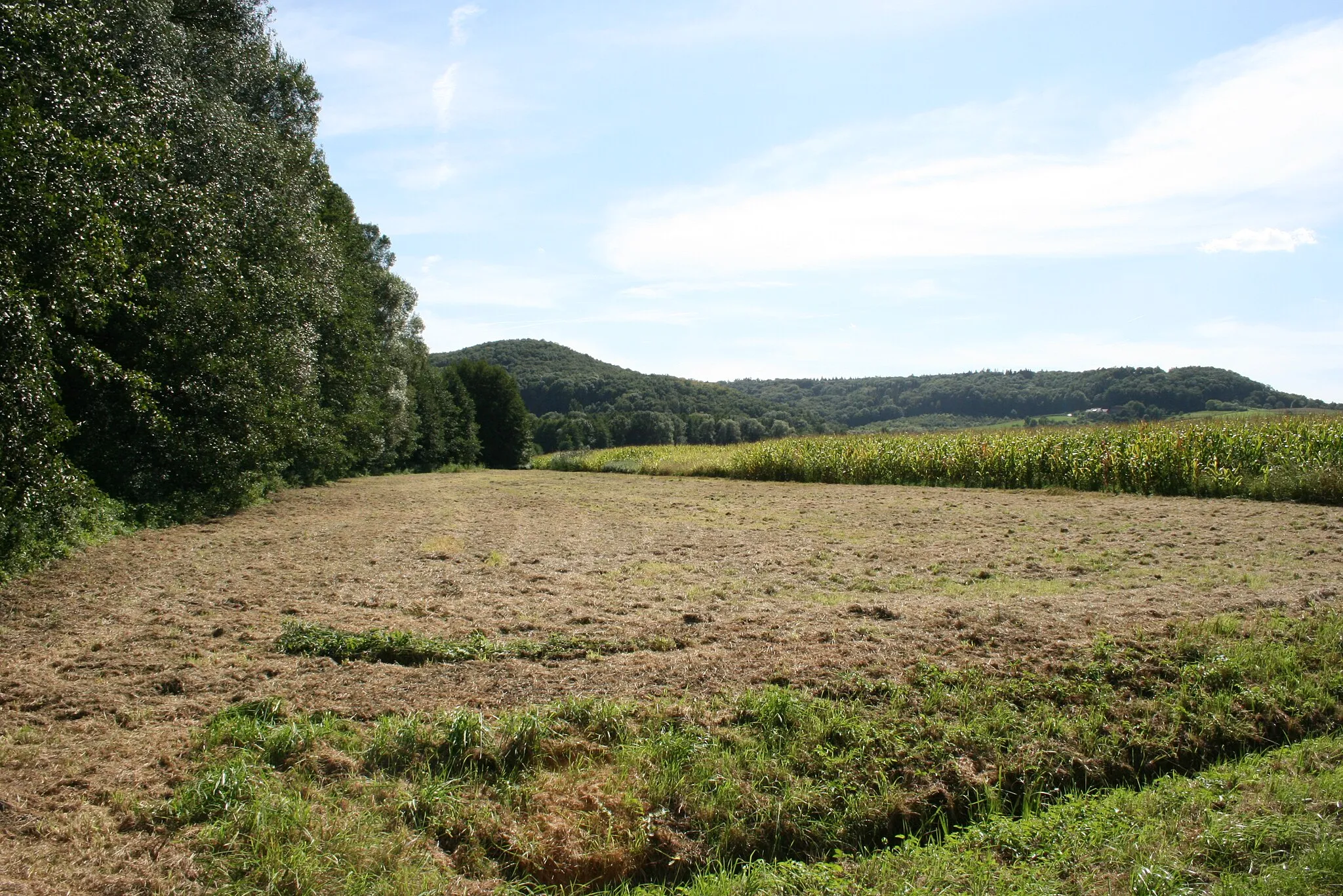 Photo showing: Die Talaue des Windischenbaches, unterhalb des Gewerbegebietes. Von Öhringen aus gesehen