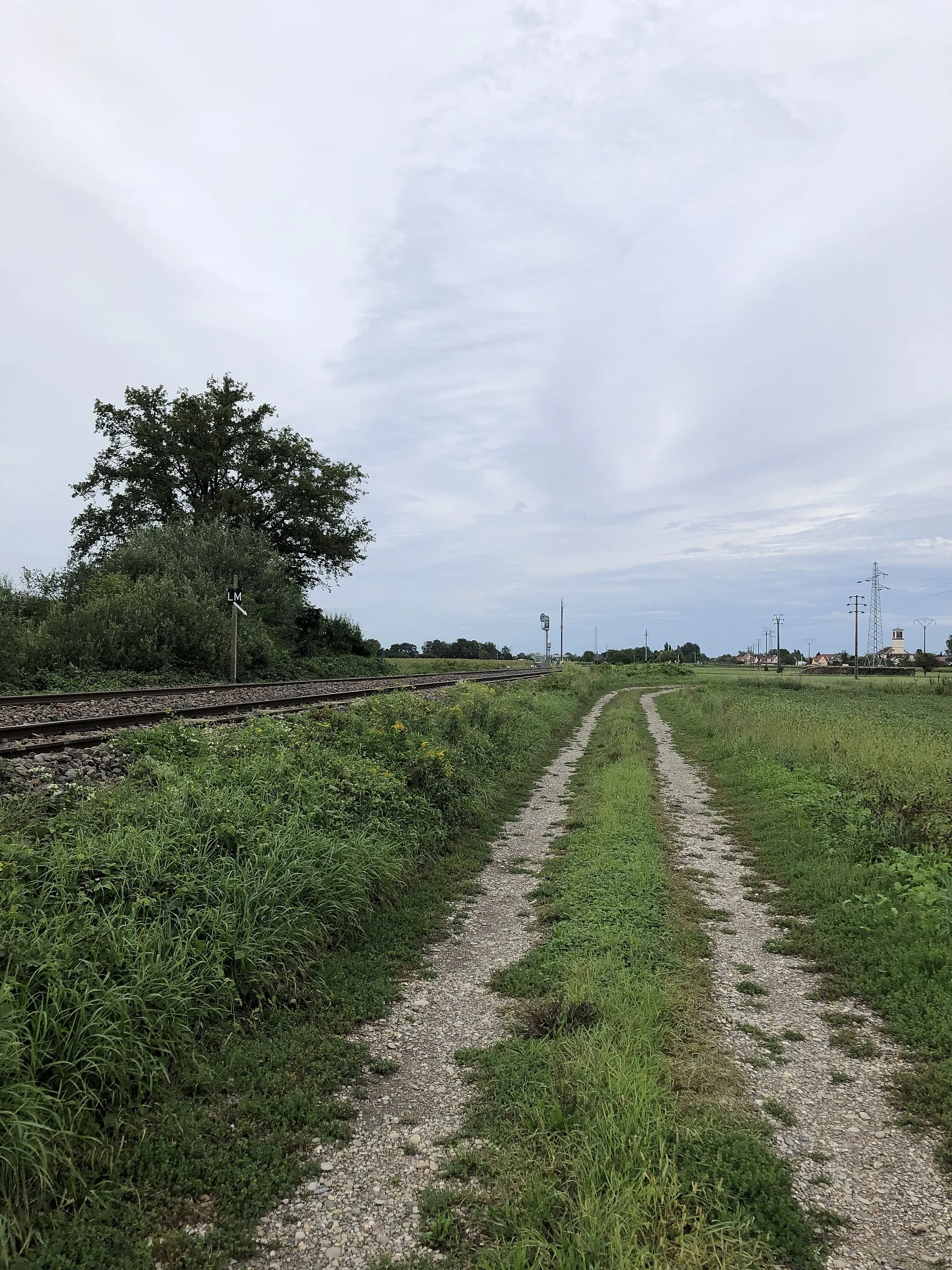 Photo showing: Railway line in La Wantzenau