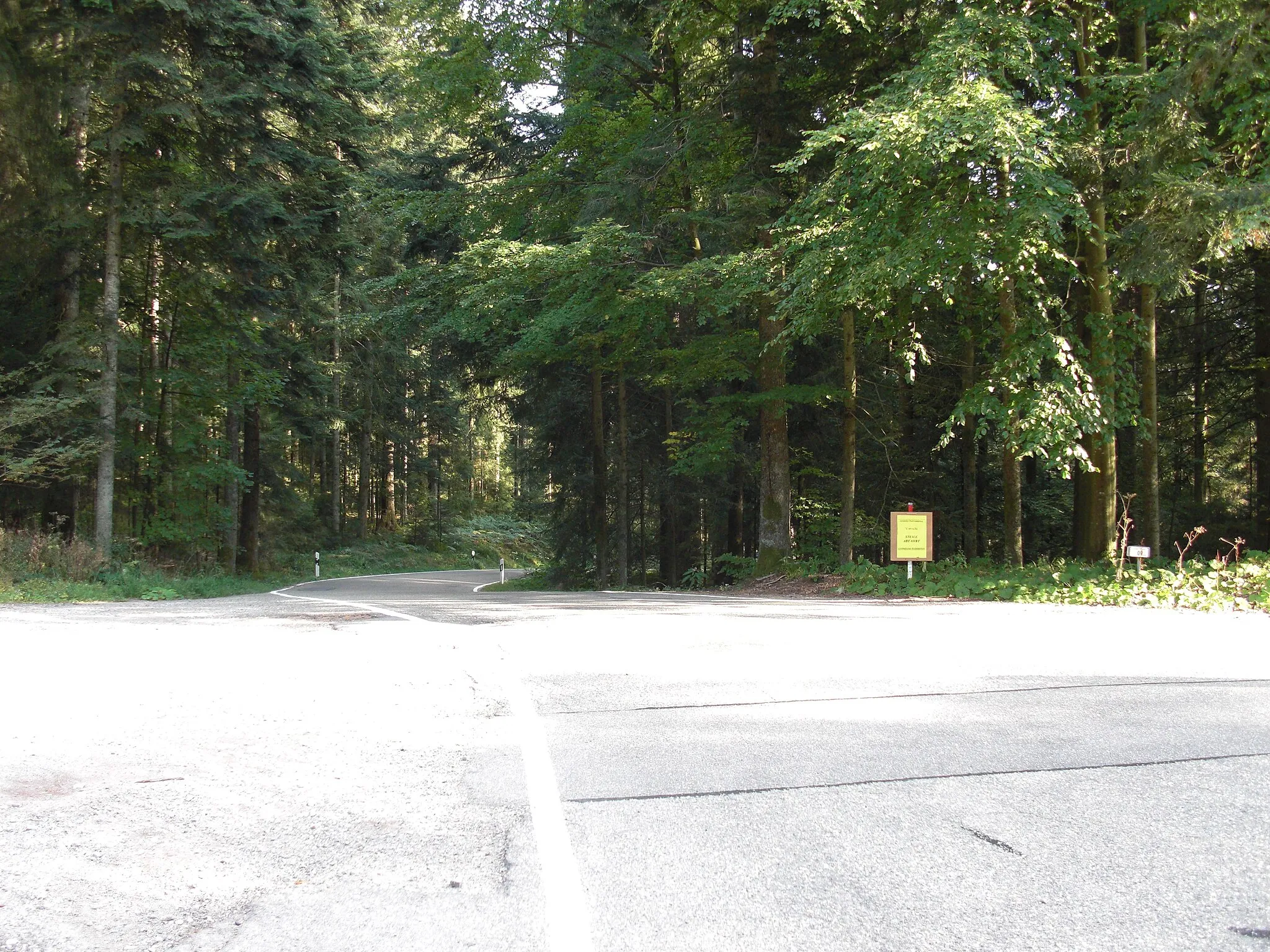 Photo showing: Pass summit Freiersberg, looking south