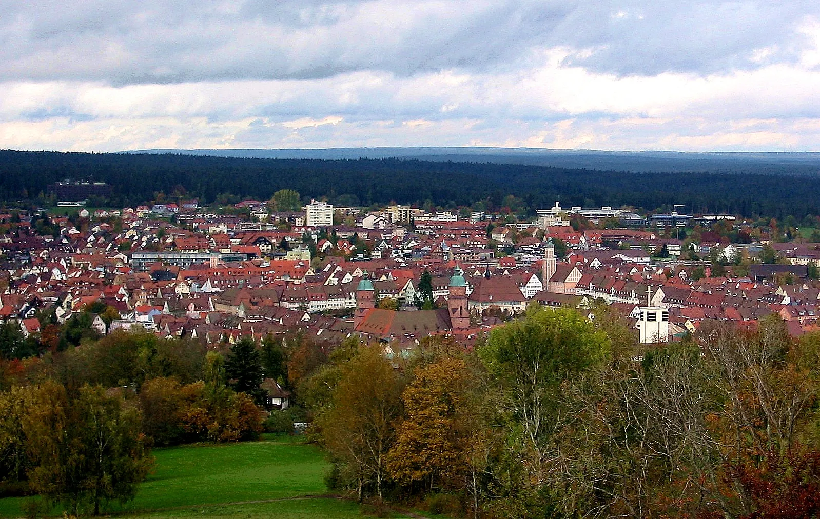 Photo showing: Freudenstadt im Schwarzwald. Blick vom etwas außerhalb gelegenen Friedrichsturm. Zu sehen sind die Türme der Kirche am Marktplatz sowie der Turm des Rathauses