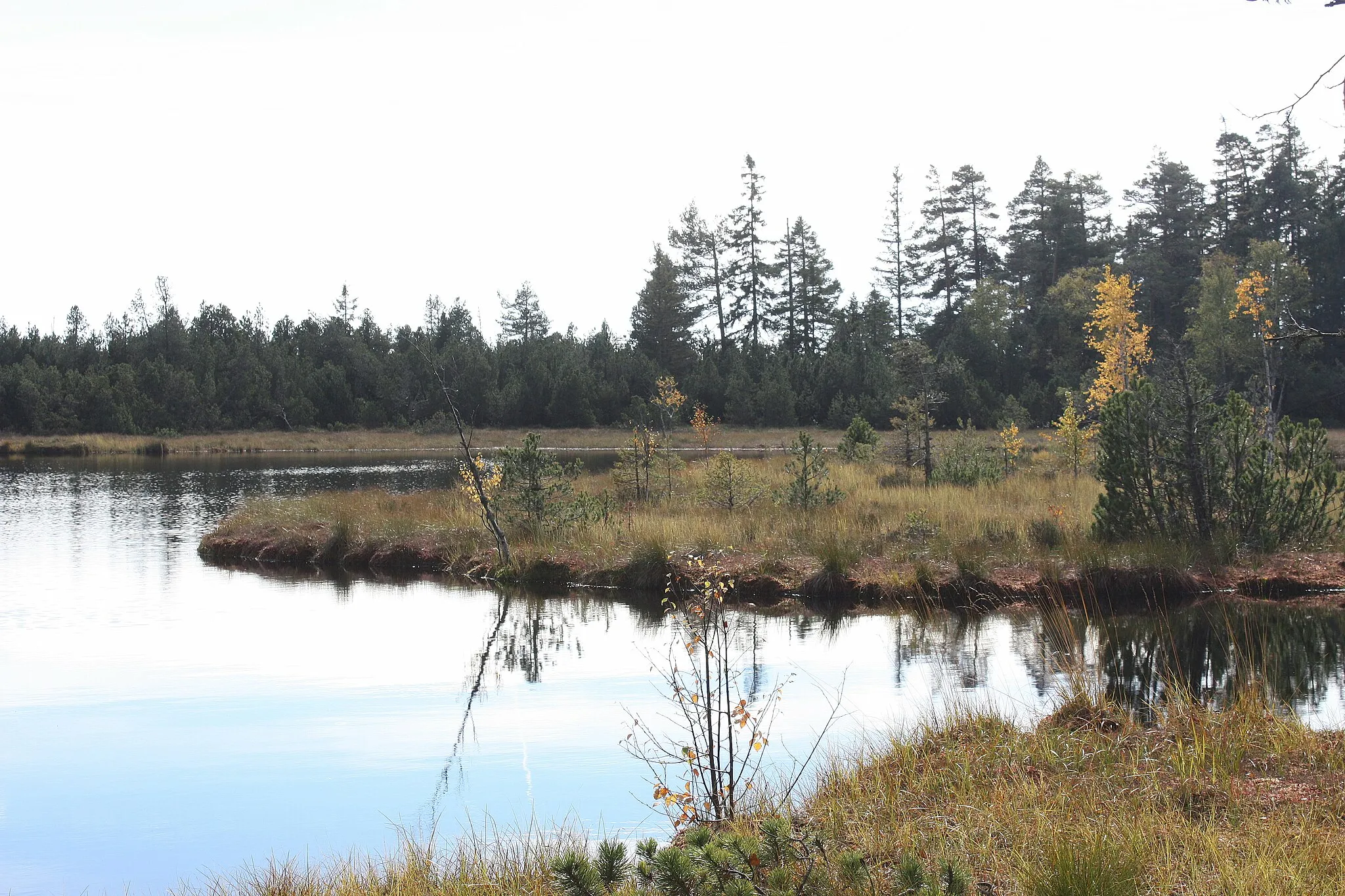 Photo showing: Kaltenbronn (Gernsbach), the Wildsee