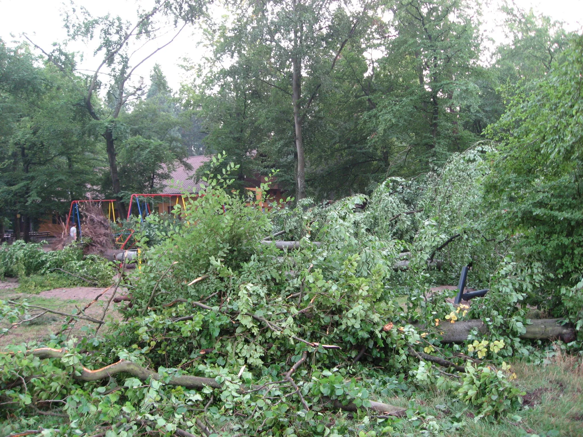 Photo showing: Tornadoschaden des Spielplatzes am Vogelpark in Hambrücken