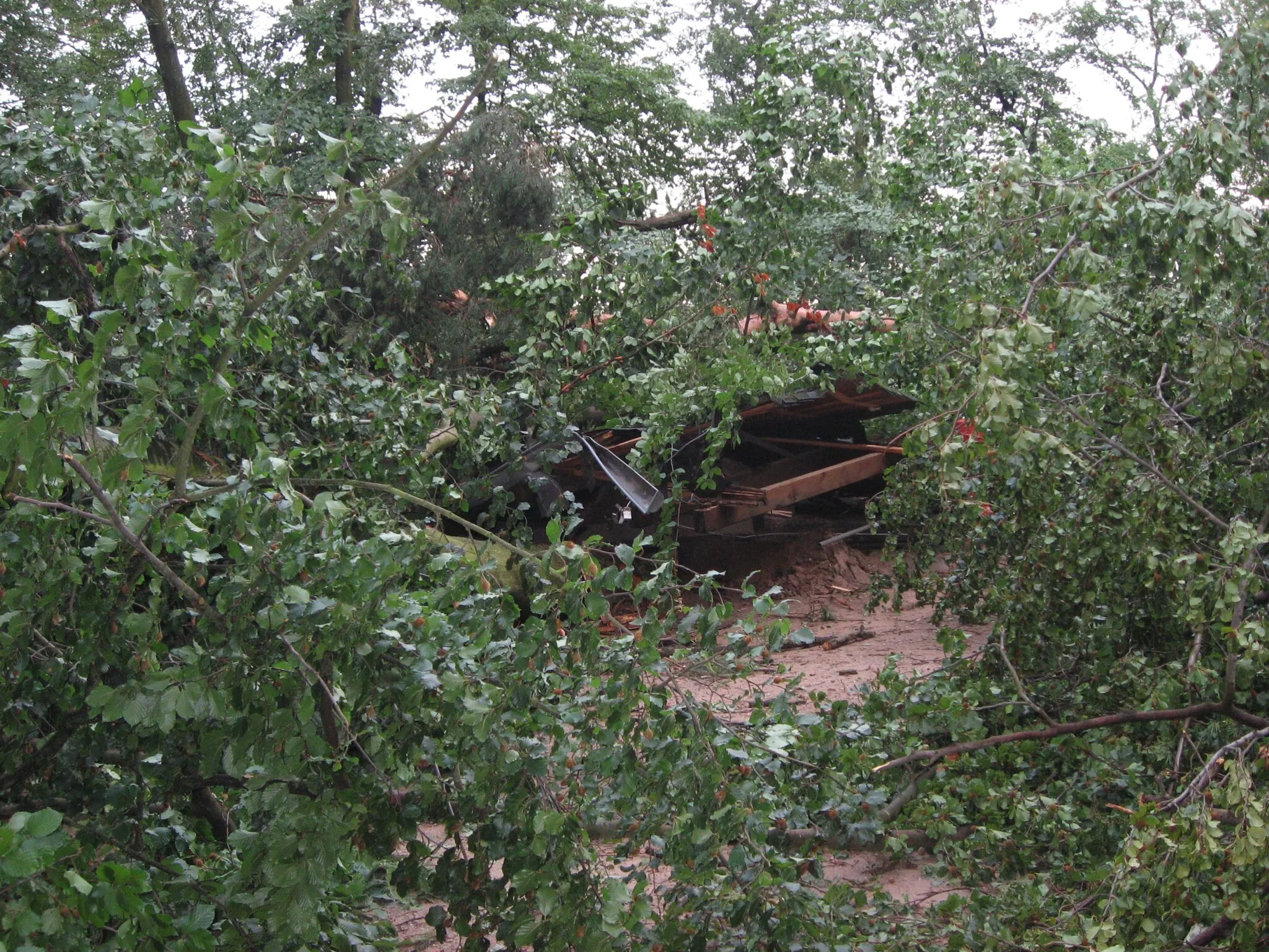 Photo showing: Tornadoschaden an der Grillhütte in Hambrücken