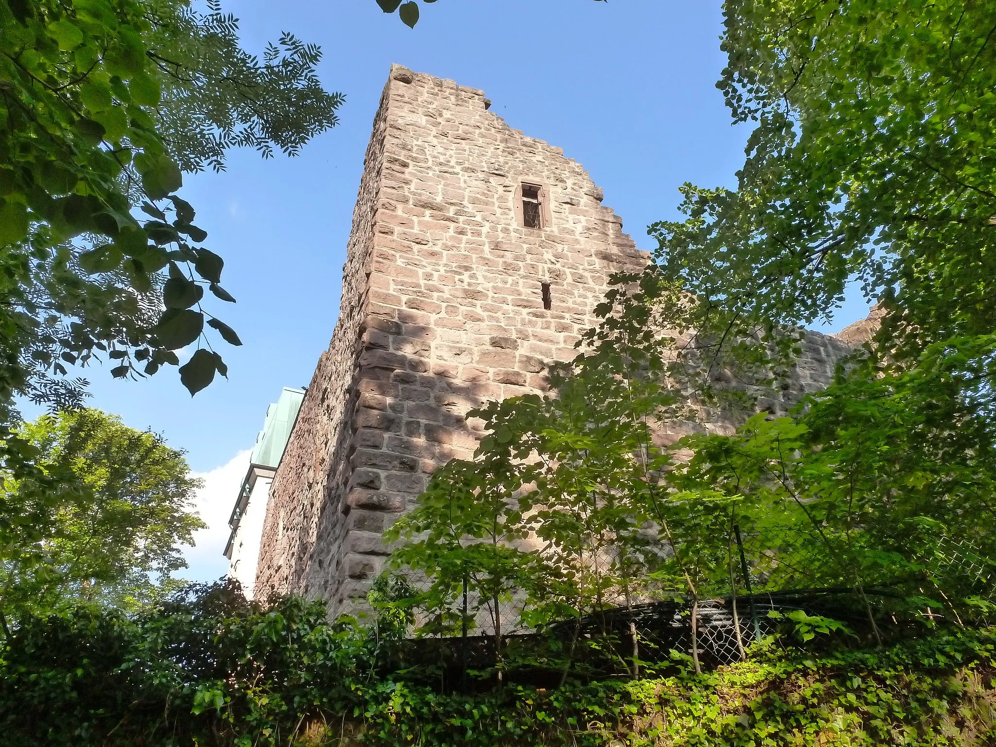 Photo showing: Château du Rabeneck à Dillweißenstein.