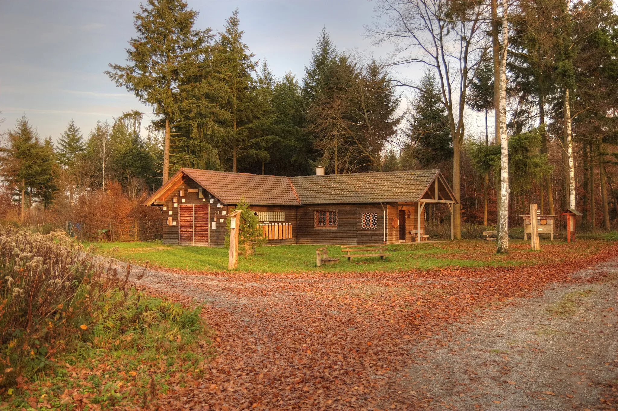 Photo showing: Die Waldhütte im Bietigheimer Hardtwald.