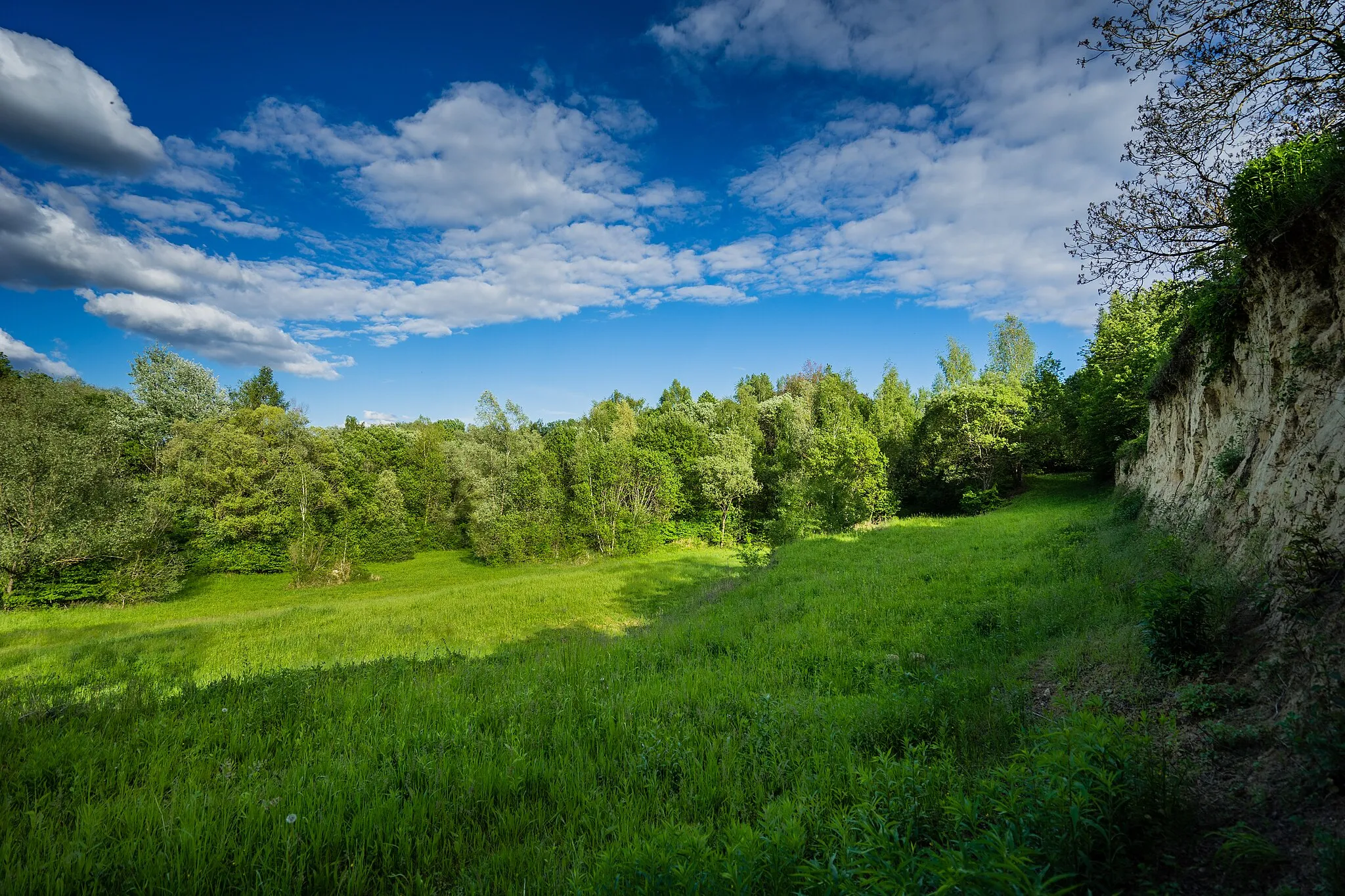 Photo showing: Naturschutzgebiet Lehmgrube am Heulenberg