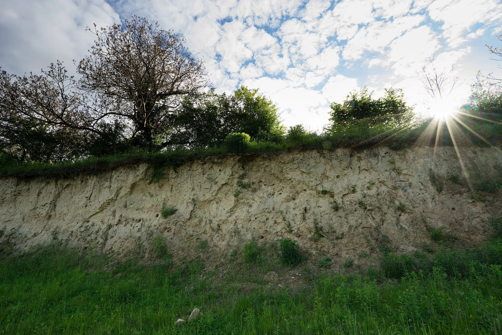 Photo showing: Naturschutzgebiet Lehmgrube am Heulenberg