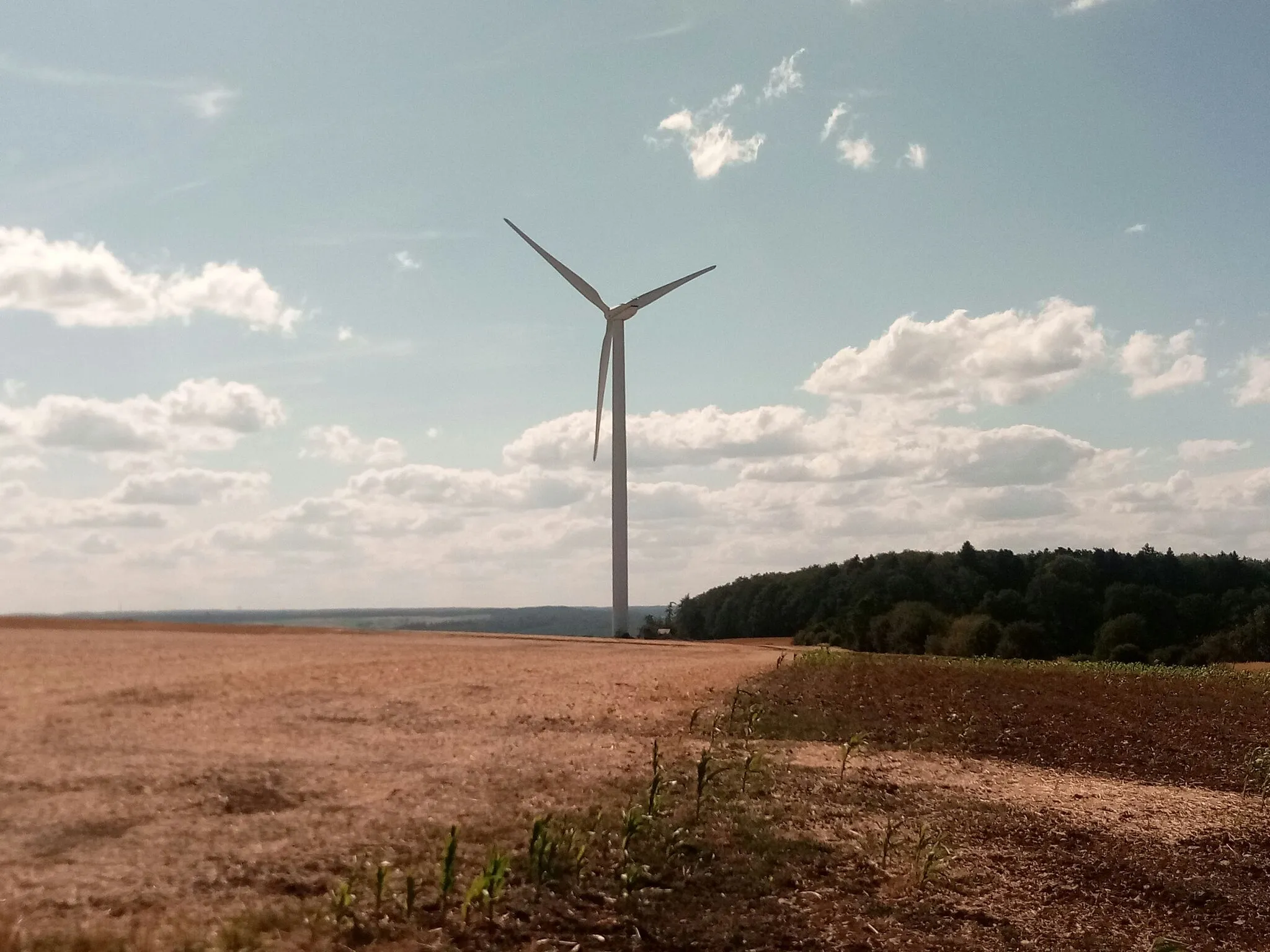 Photo showing: Windpark bei Hettingen