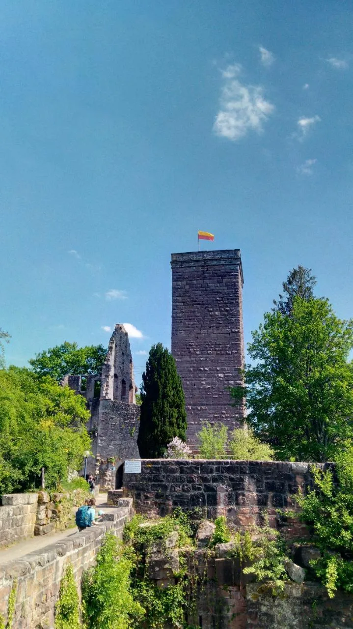 Photo showing: Die Burgruine Zavelstein ist ein schönes Ausflugs- und Wanderziel und lädt Kinder zum Erkunden ein. 
Die ältesten Teile der Burg Zavelstein stammen vermutlich aus der ersten Hälfte des 13. Jahrhunderts.