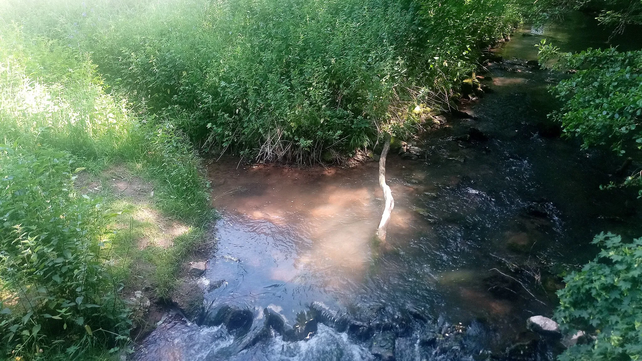 Photo showing: Seichterbach (Bach im Stadtgebiet von Buchen (Odenwald) im baden-württembergischen Neckar-Odenwald-Kreis)