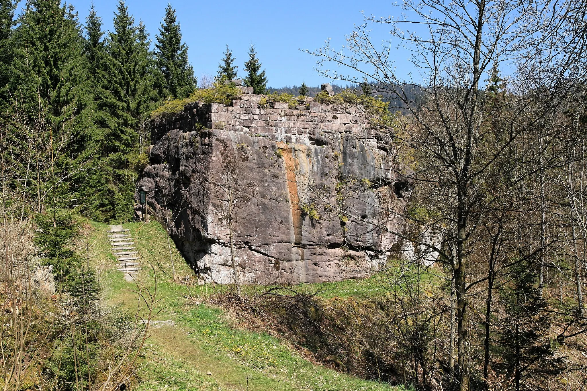 Photo showing: Burg Tannenfels, Burgkopf in Baiersbronn