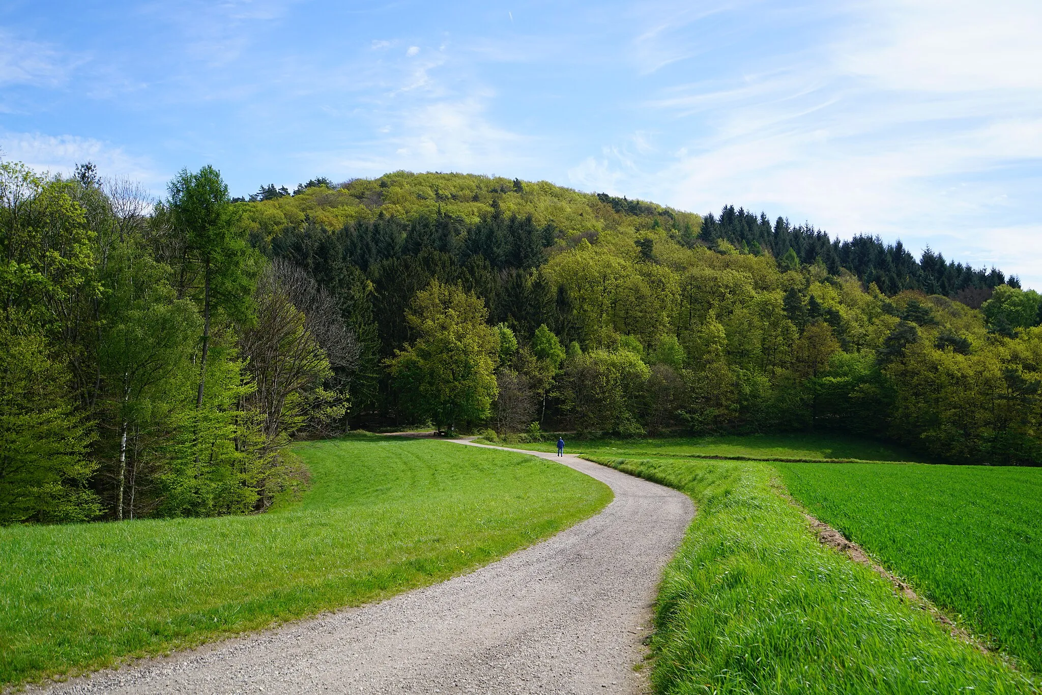 Photo showing: Eichelberg (Odenwald) Weg von der Ursenbacher Höhe zum Eichelberg